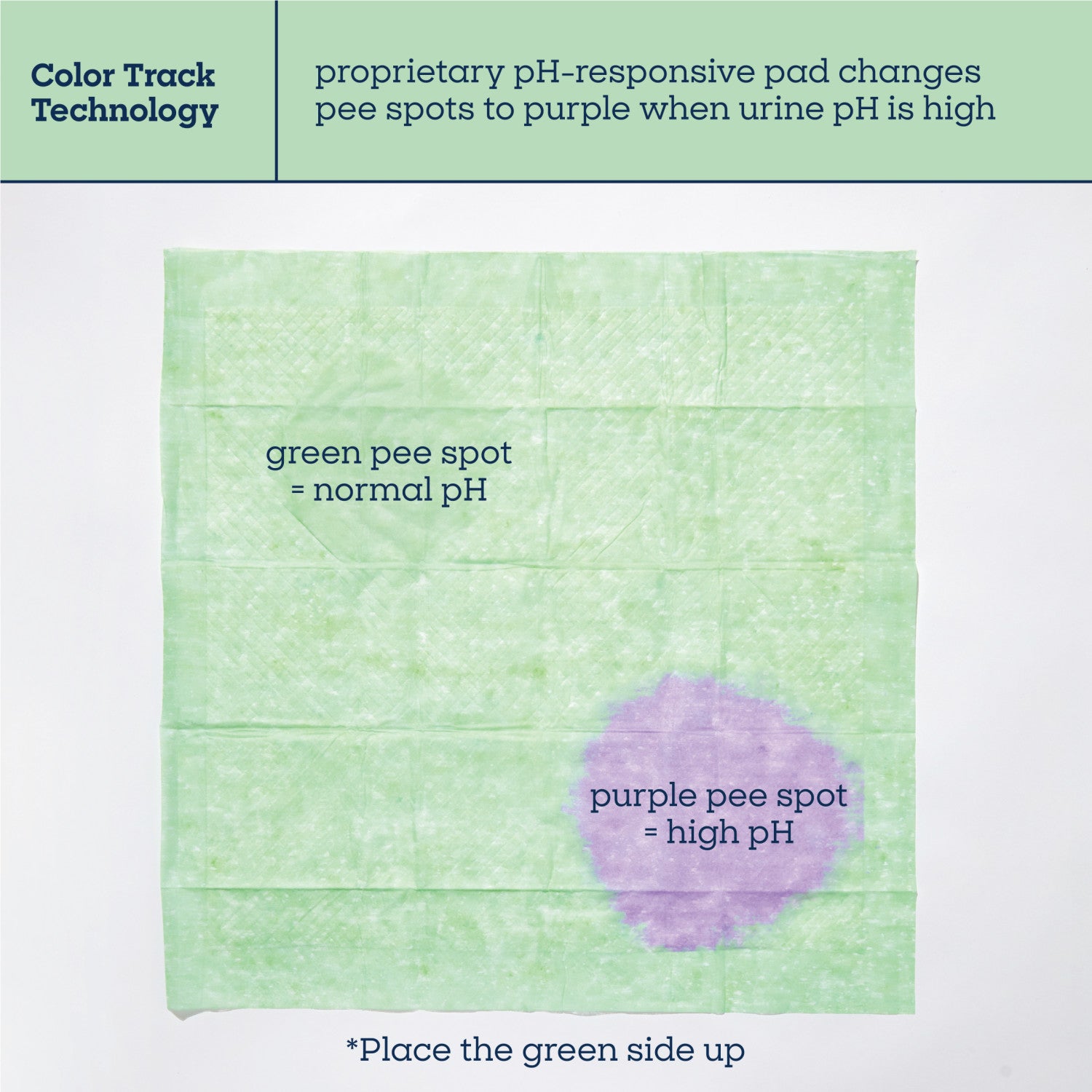 Health Tracker Dog Pads