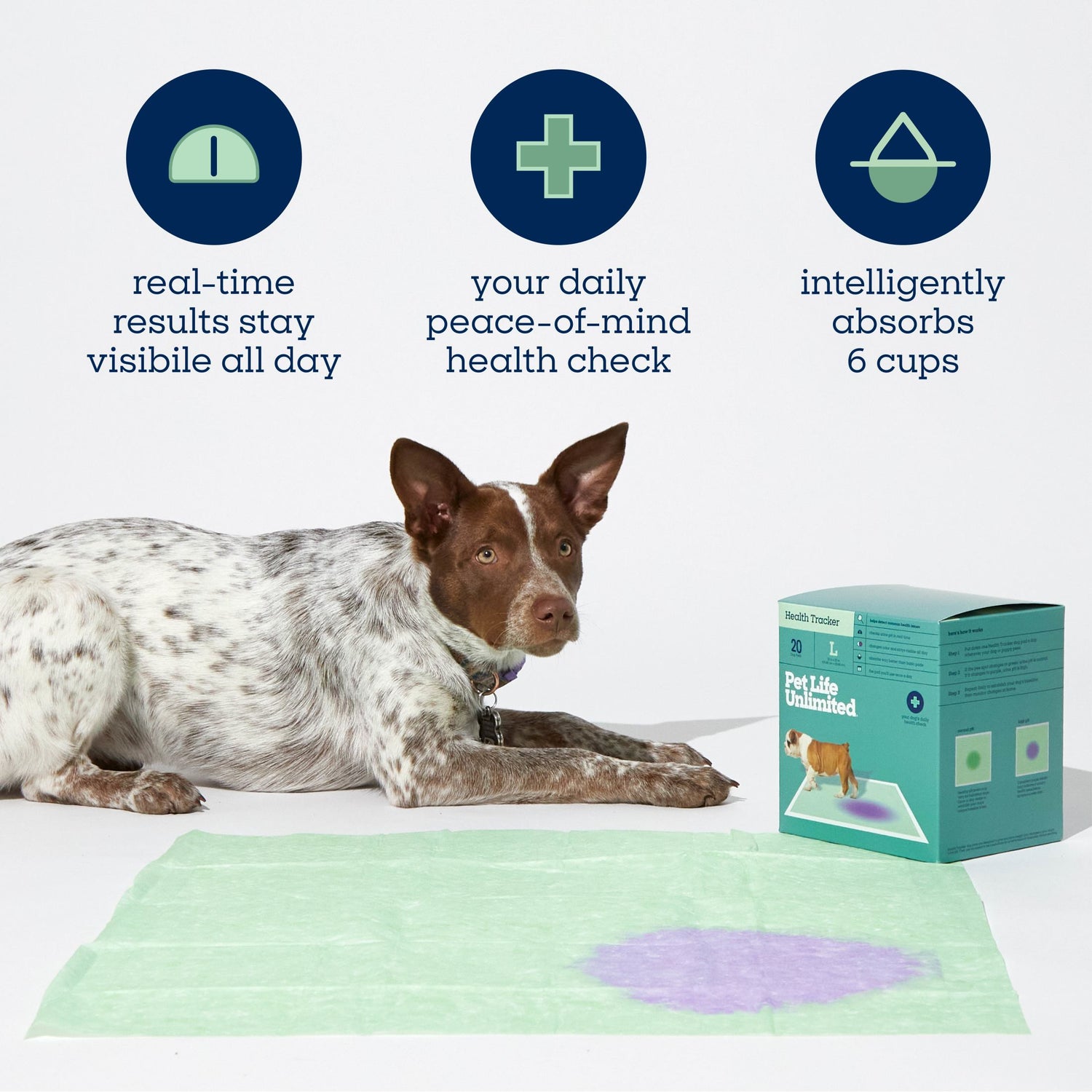 Health Tracker Dog Pads