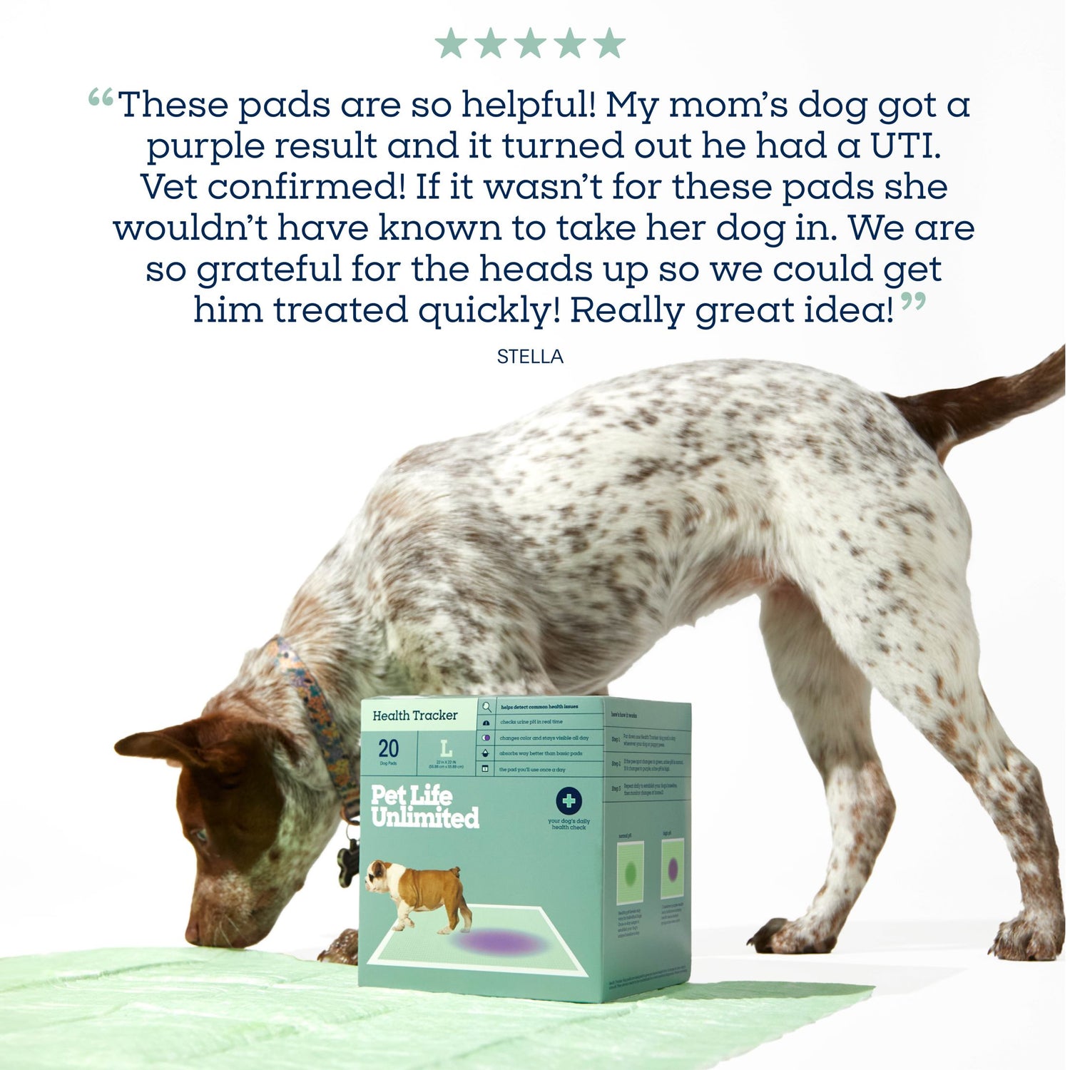 Health Tracker Dog Pads