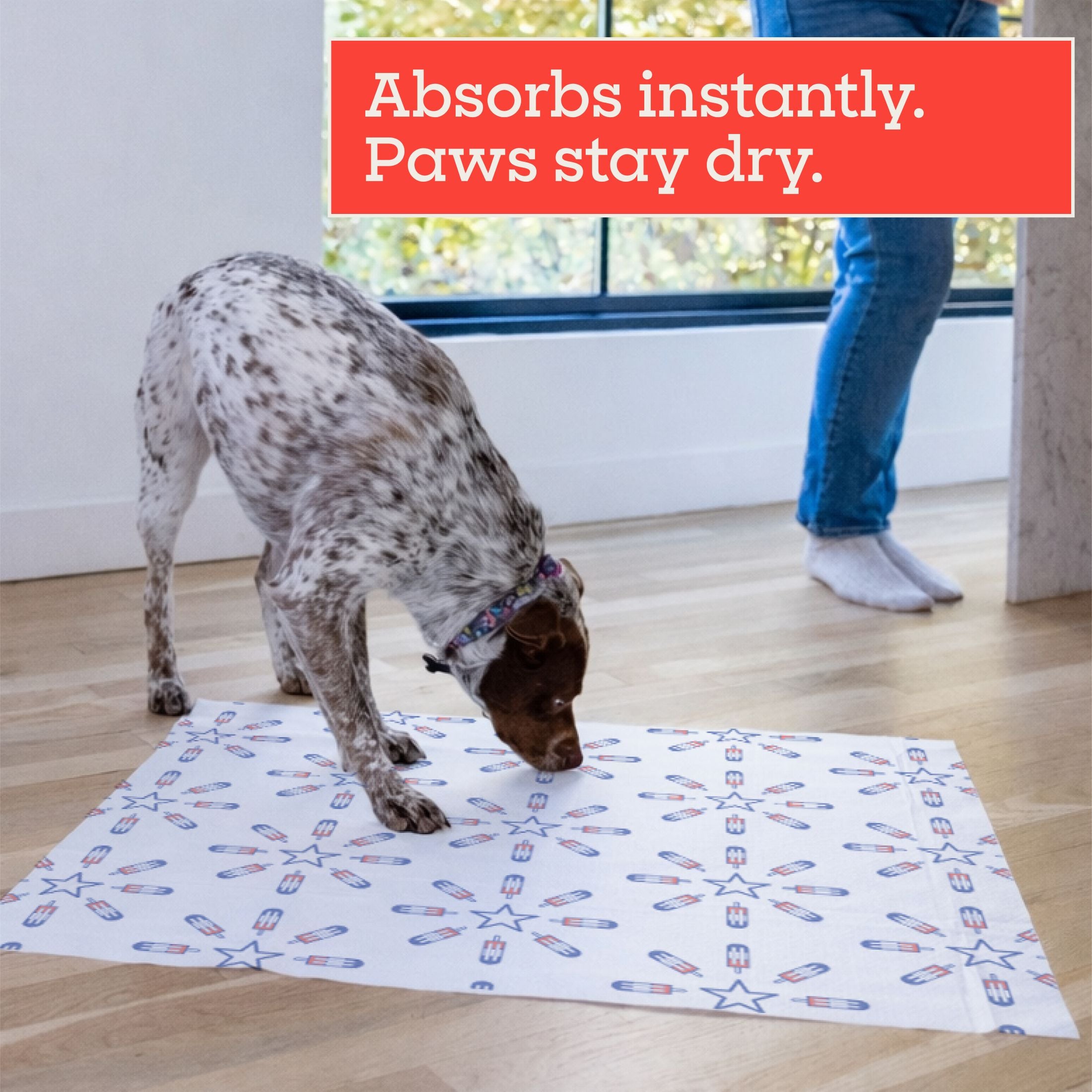 Smart Print Dog Pads, XL, America 250