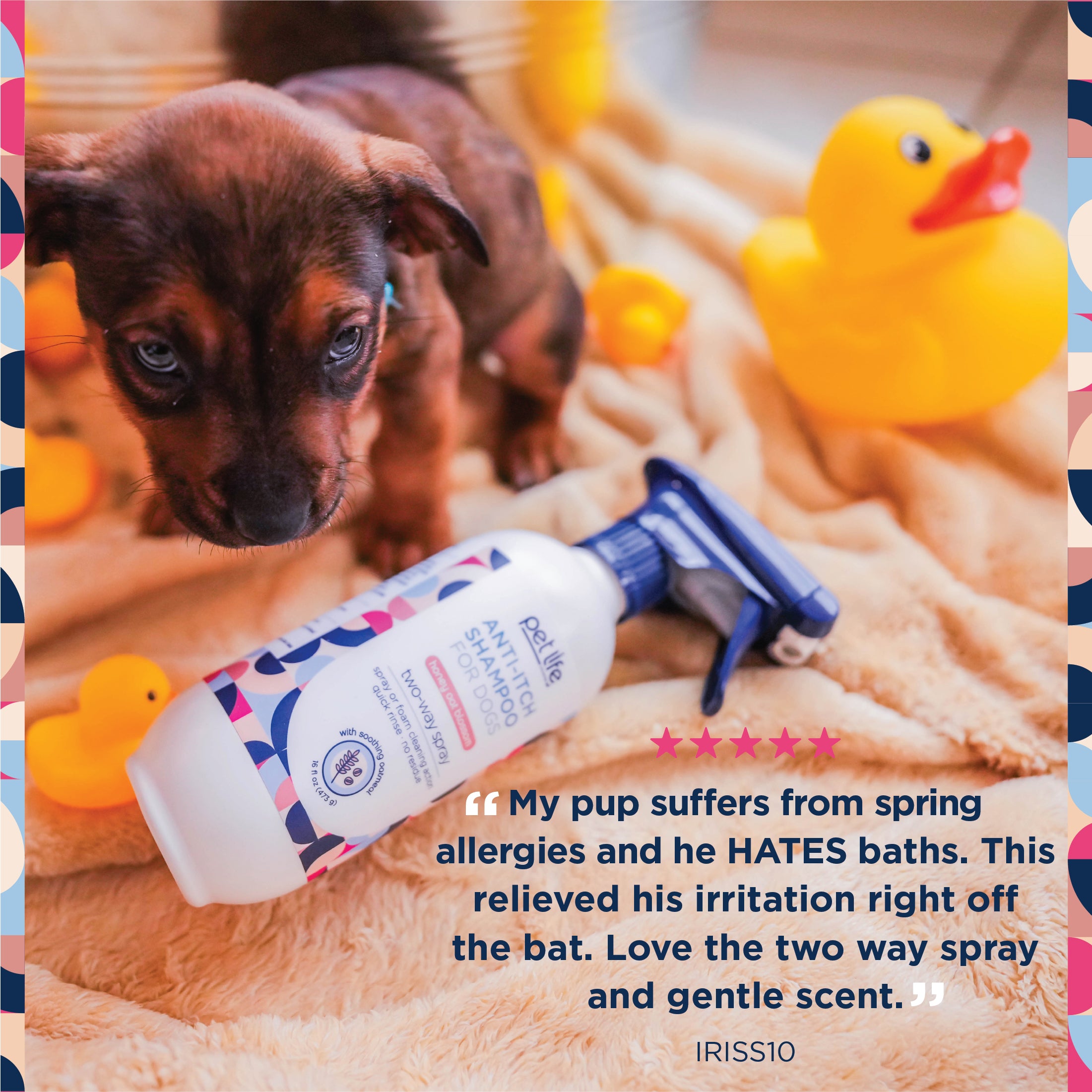 Champú para perros antipicazón con spray bidireccional