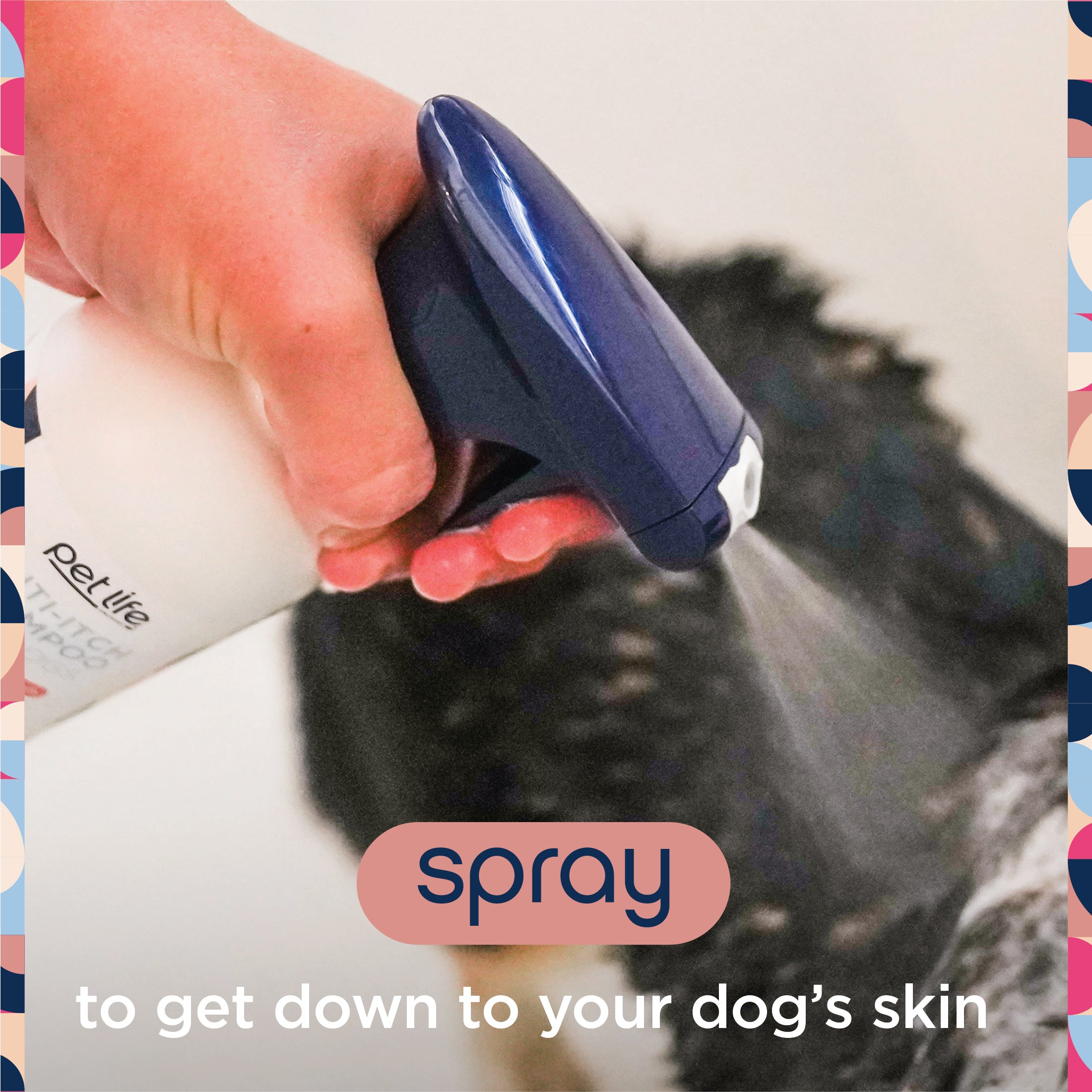 Champú para perros antipicazón con spray bidireccional