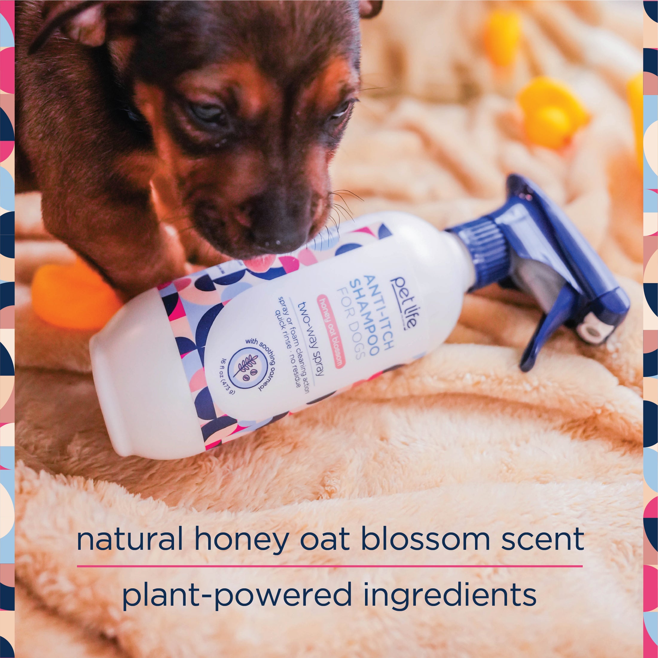Champú para perros antipicazón con spray bidireccional