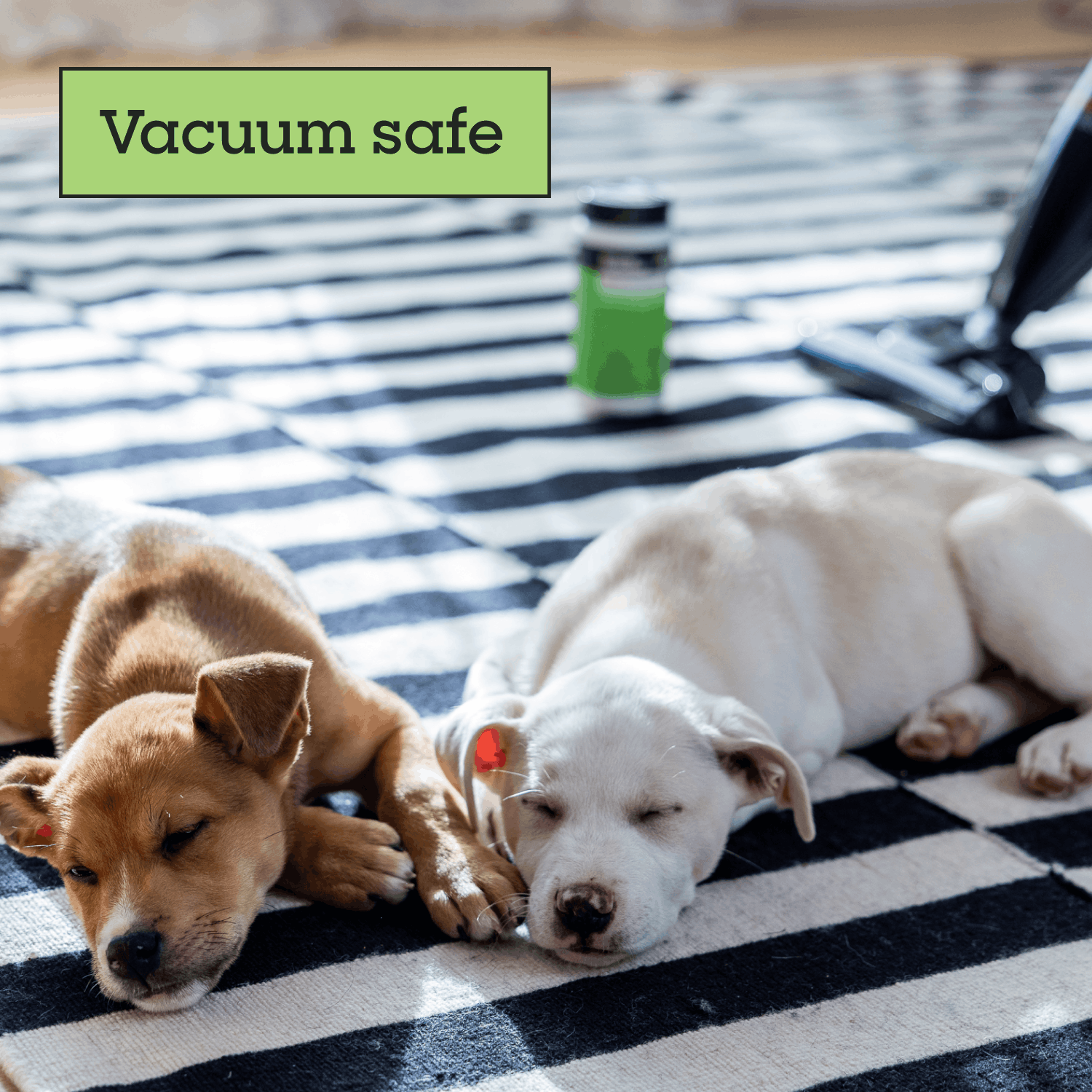 Carpet Refresher, Juniper Leaf