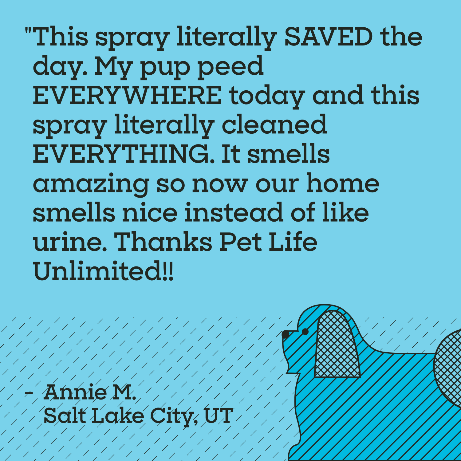 SuperFoam for Pet Stains & Odors