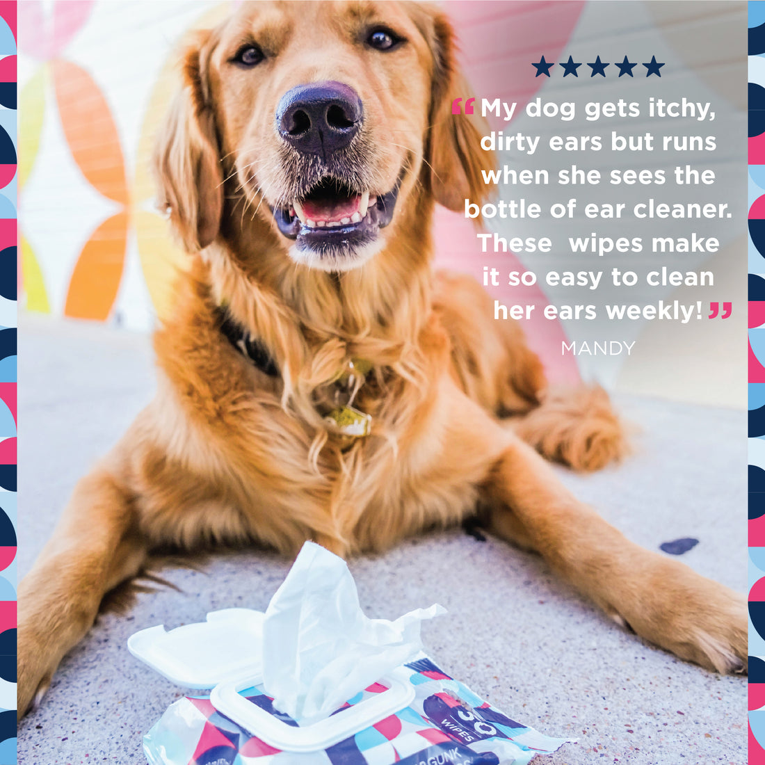 Eye & Ear Dog Wipes