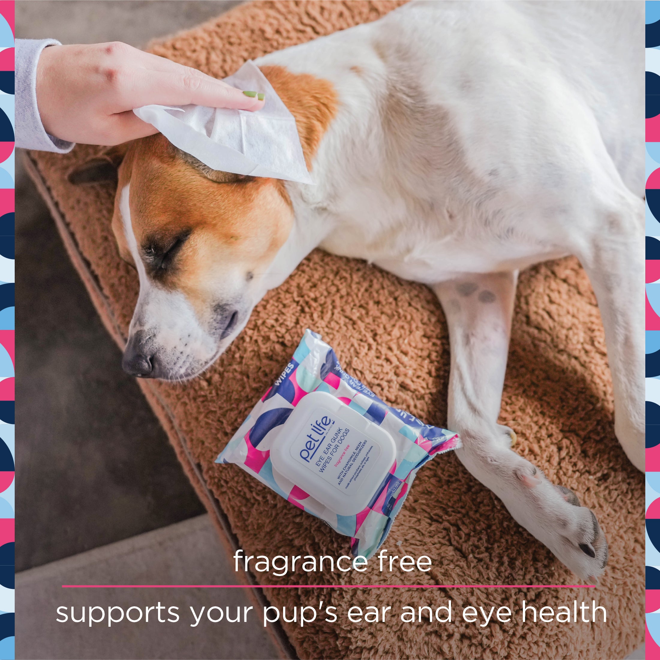Toallitas para perros para ojos y oídos