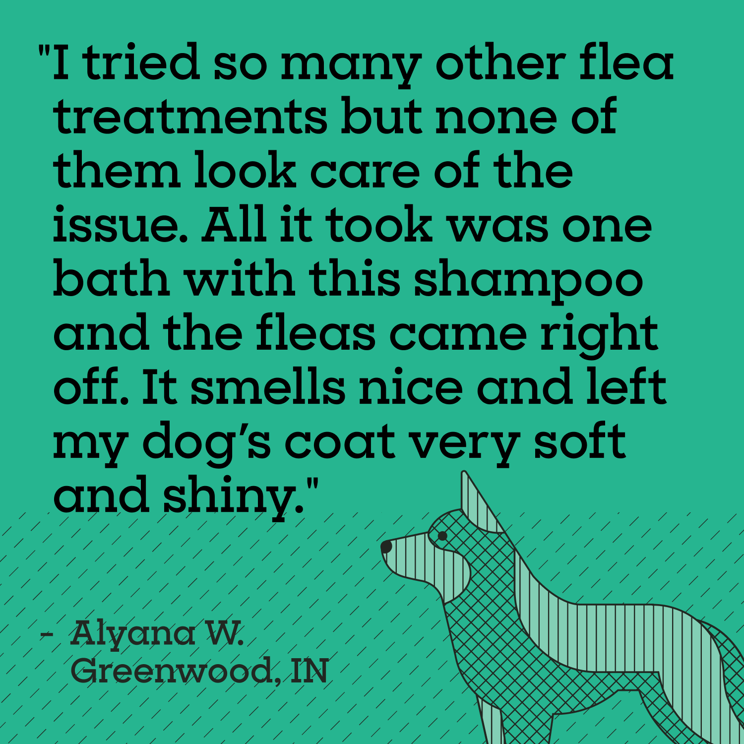 Flea & Tick Treatment Shampoo for Dogs