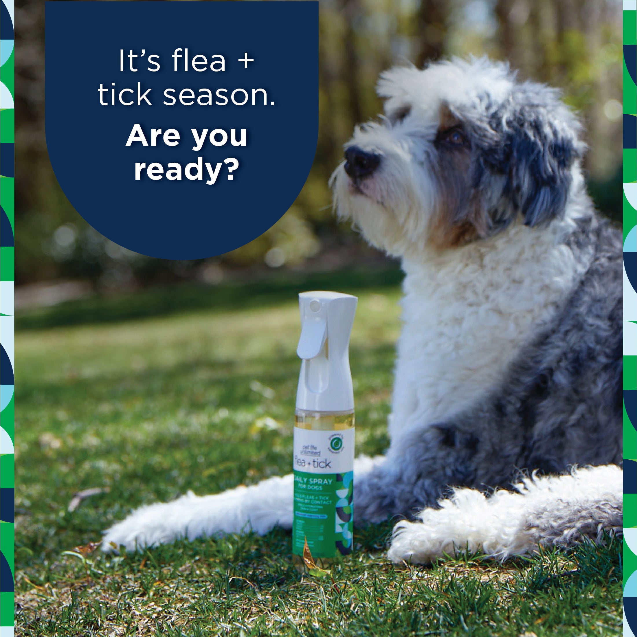 Flea & Tick Daily Spray for Dogs
