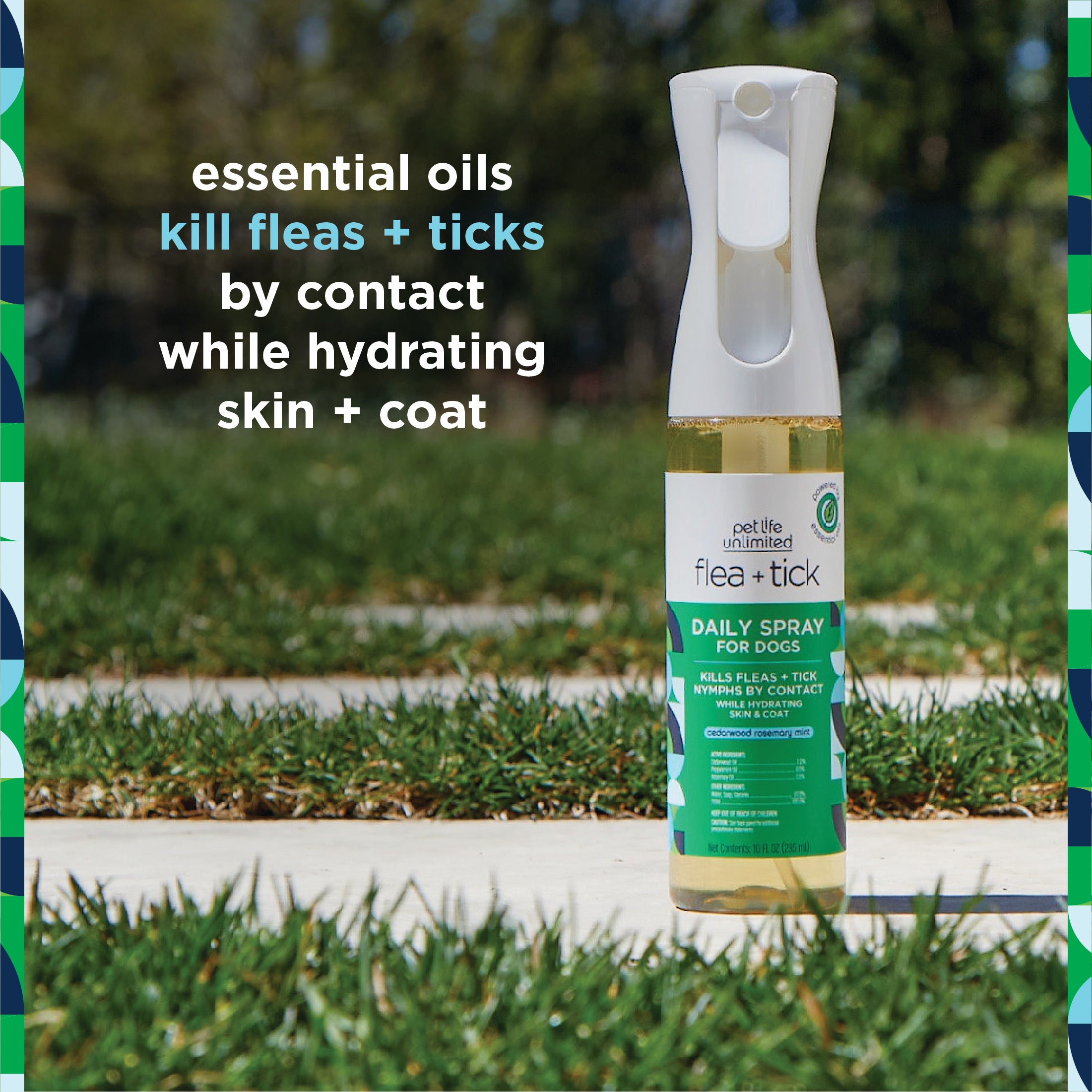 Flea & Tick Daily Spray for Dogs