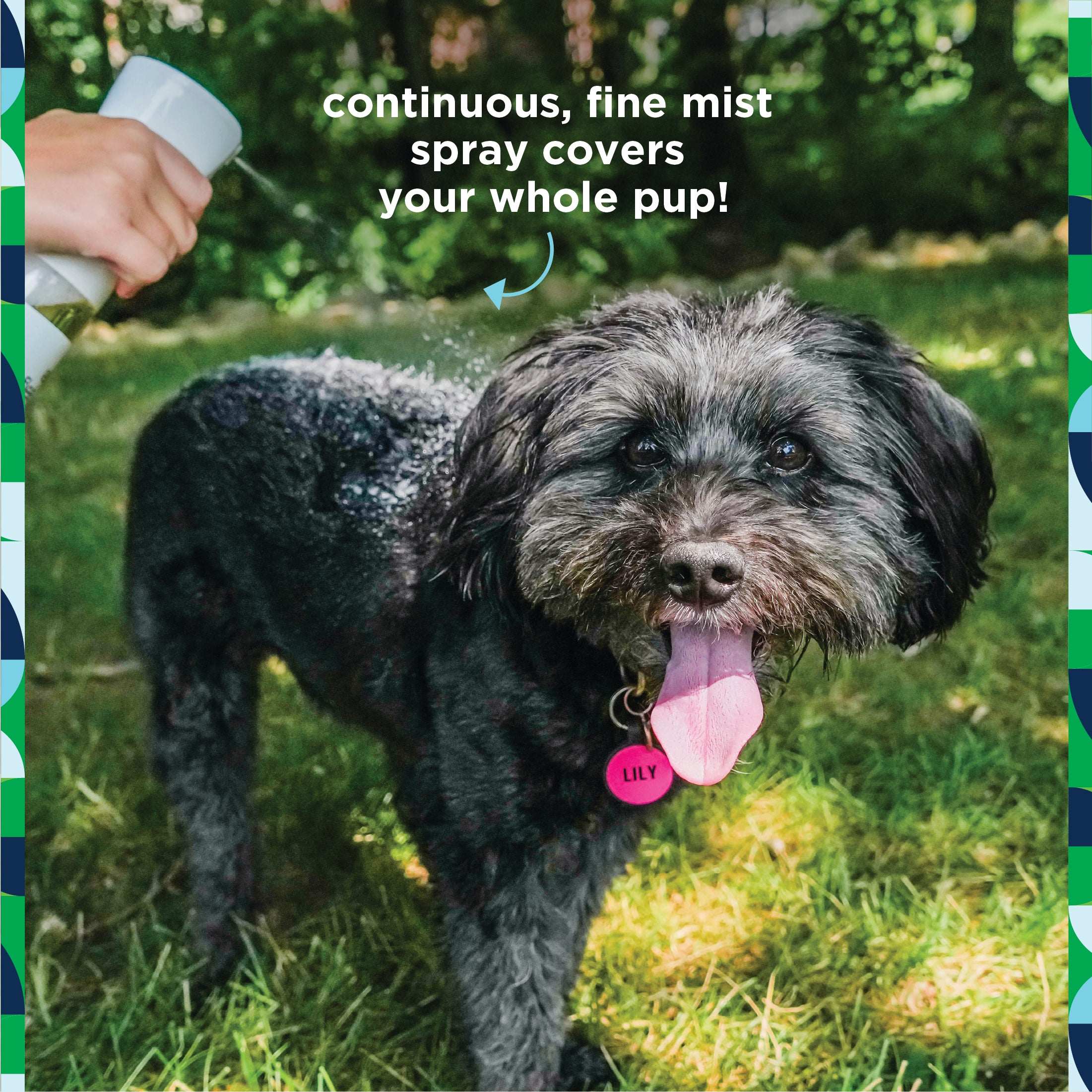 Flea & Tick Daily Spray for Dogs