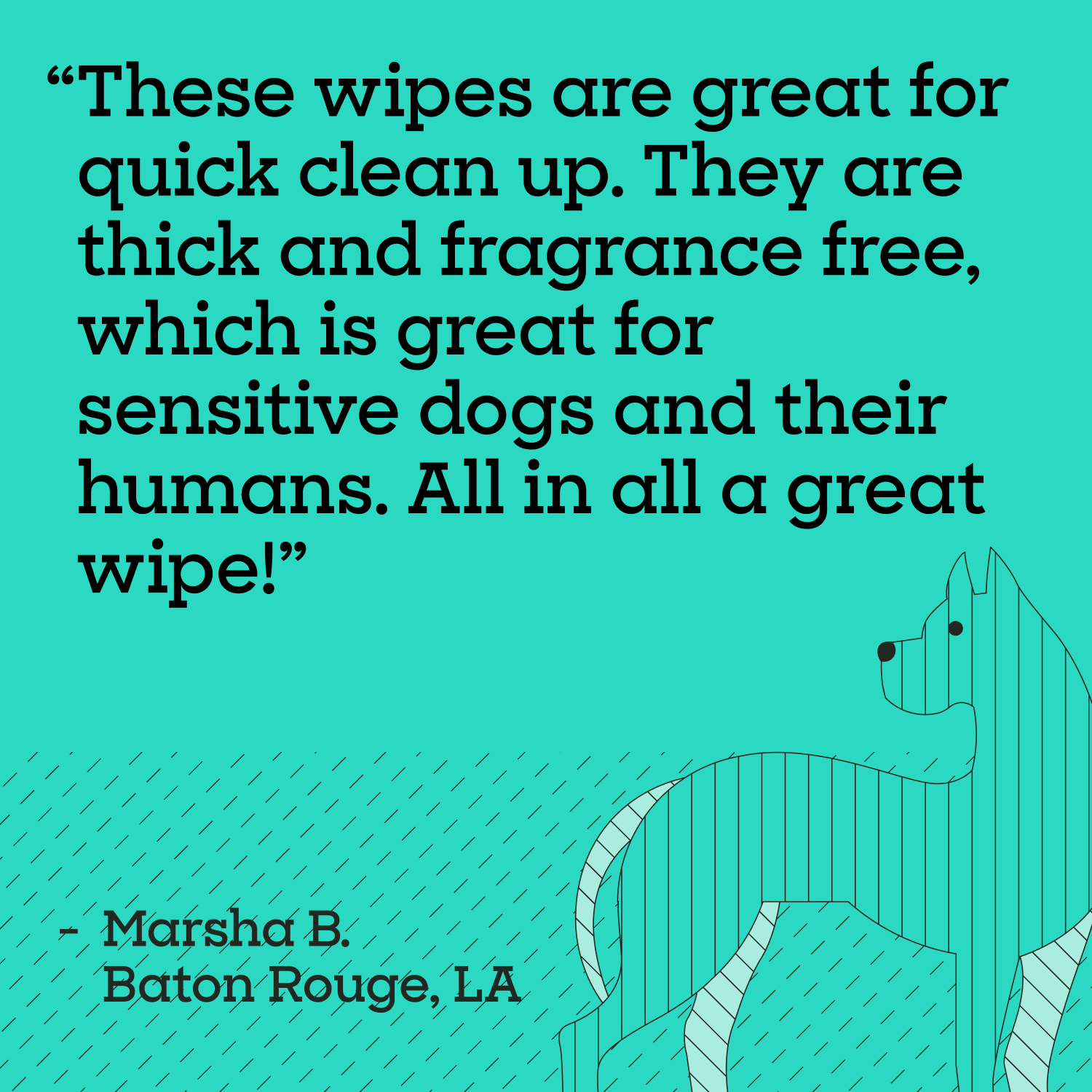 Cleansing Dog Wipes