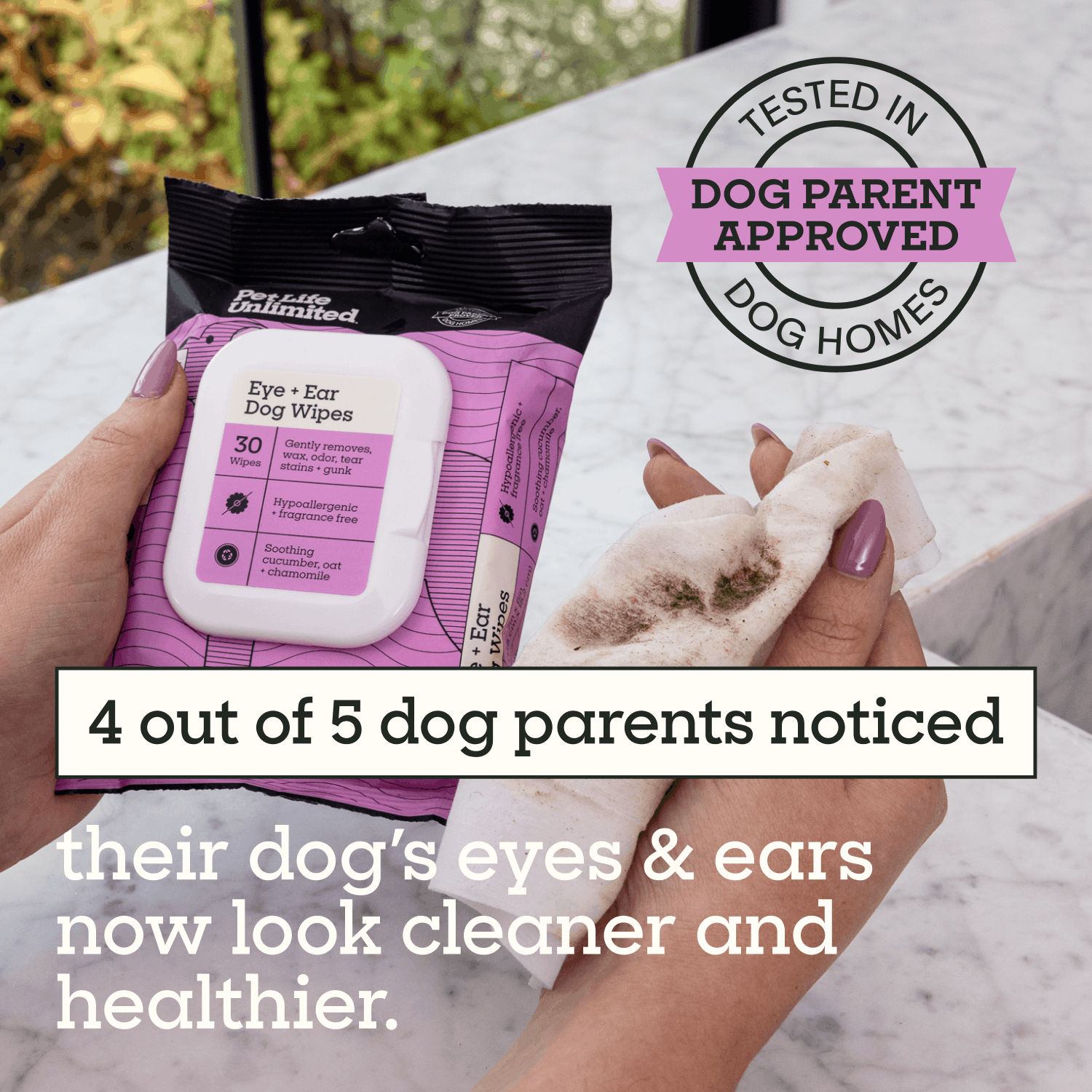 Eye & Ear Dog Wipes