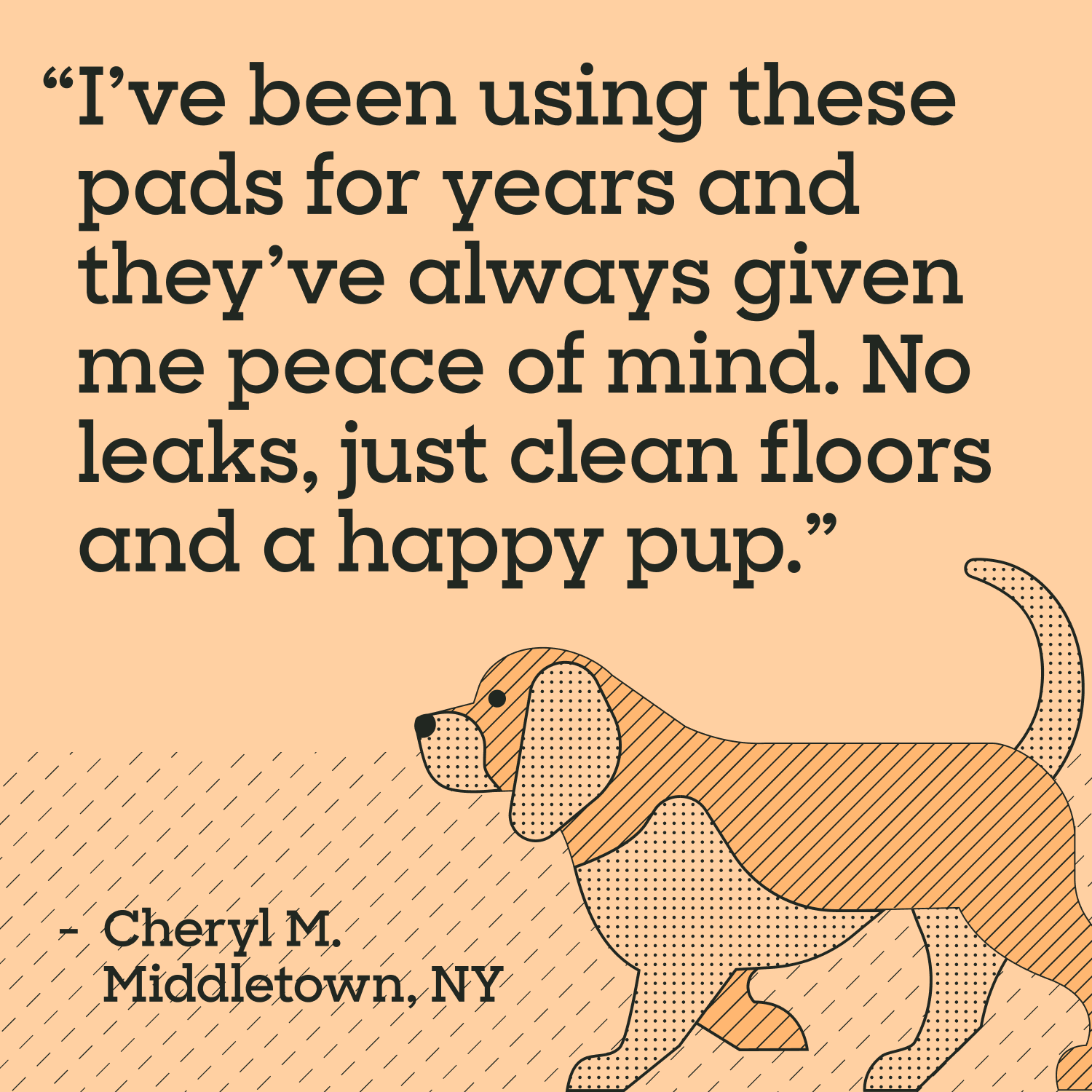 Charcoal Powered Dog Pads, XXL