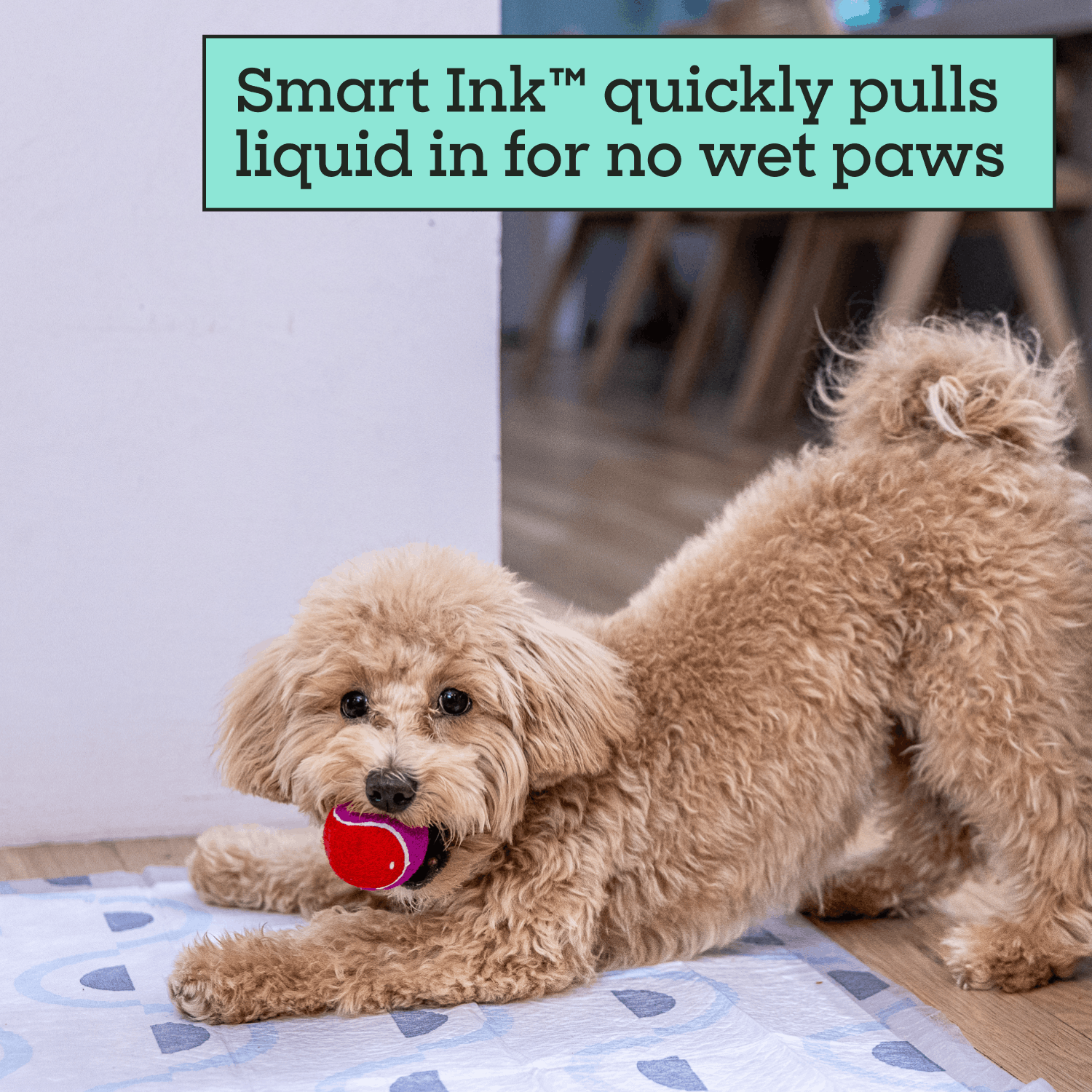 Smart Print Dog Pads, Large