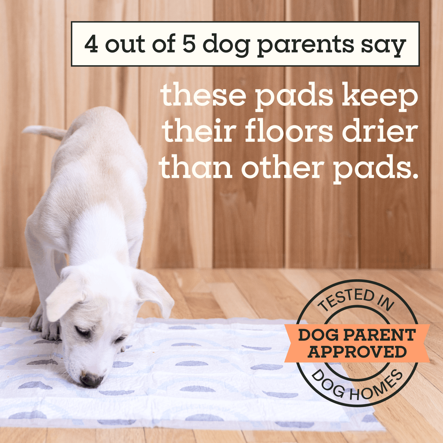 Smart Print Dog Pads, Large