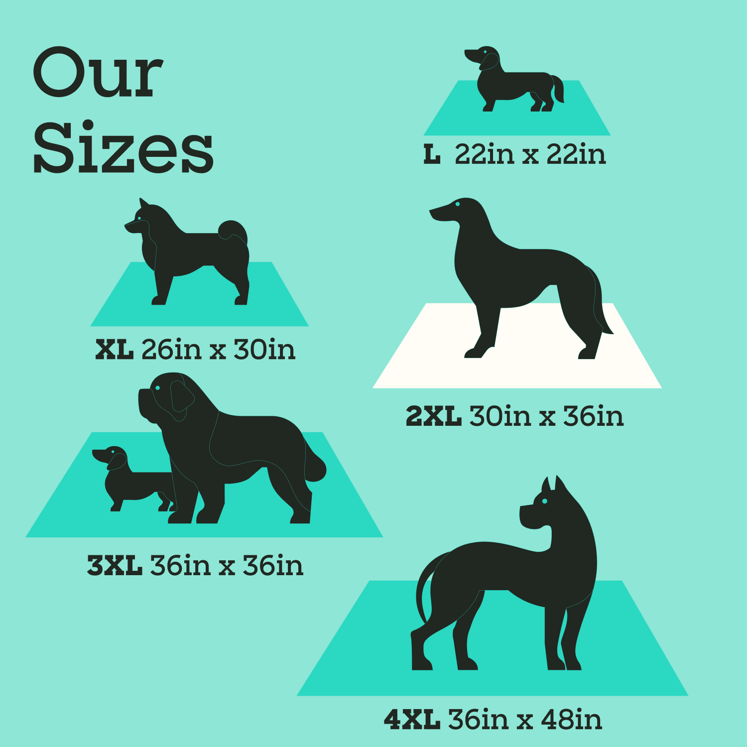 Smart Print Dog Pads, XXL