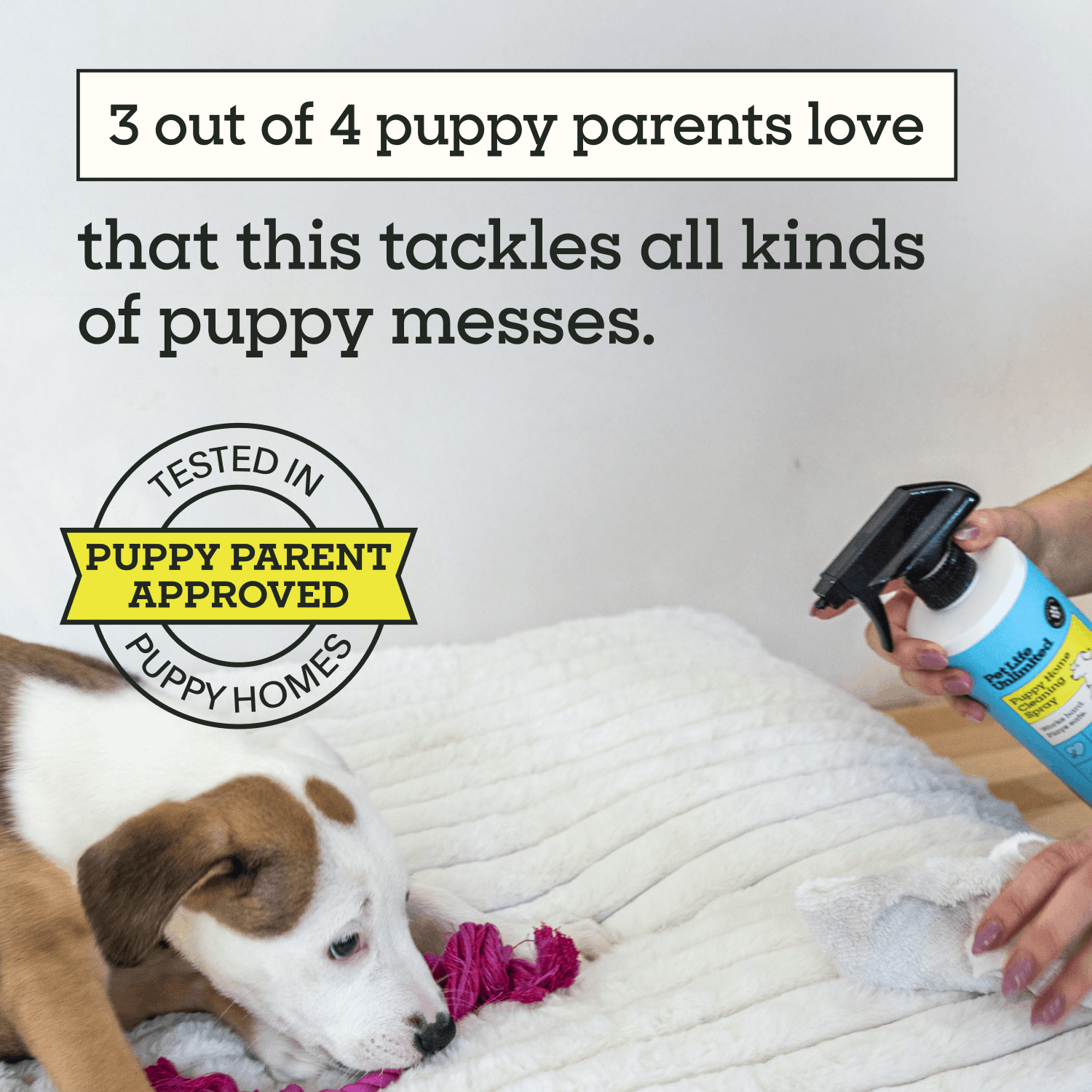 Puppy Home Cleaning Spray