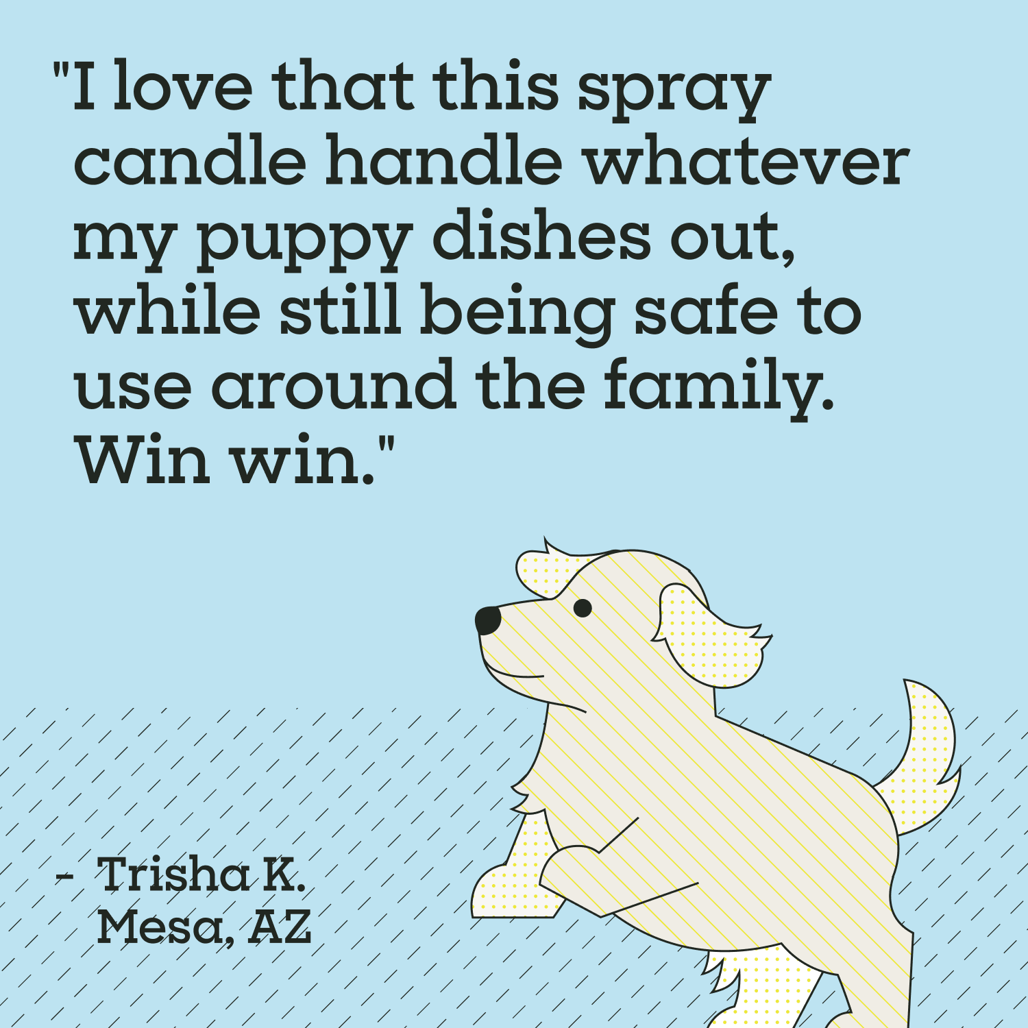 Puppy Home Cleaning Spray