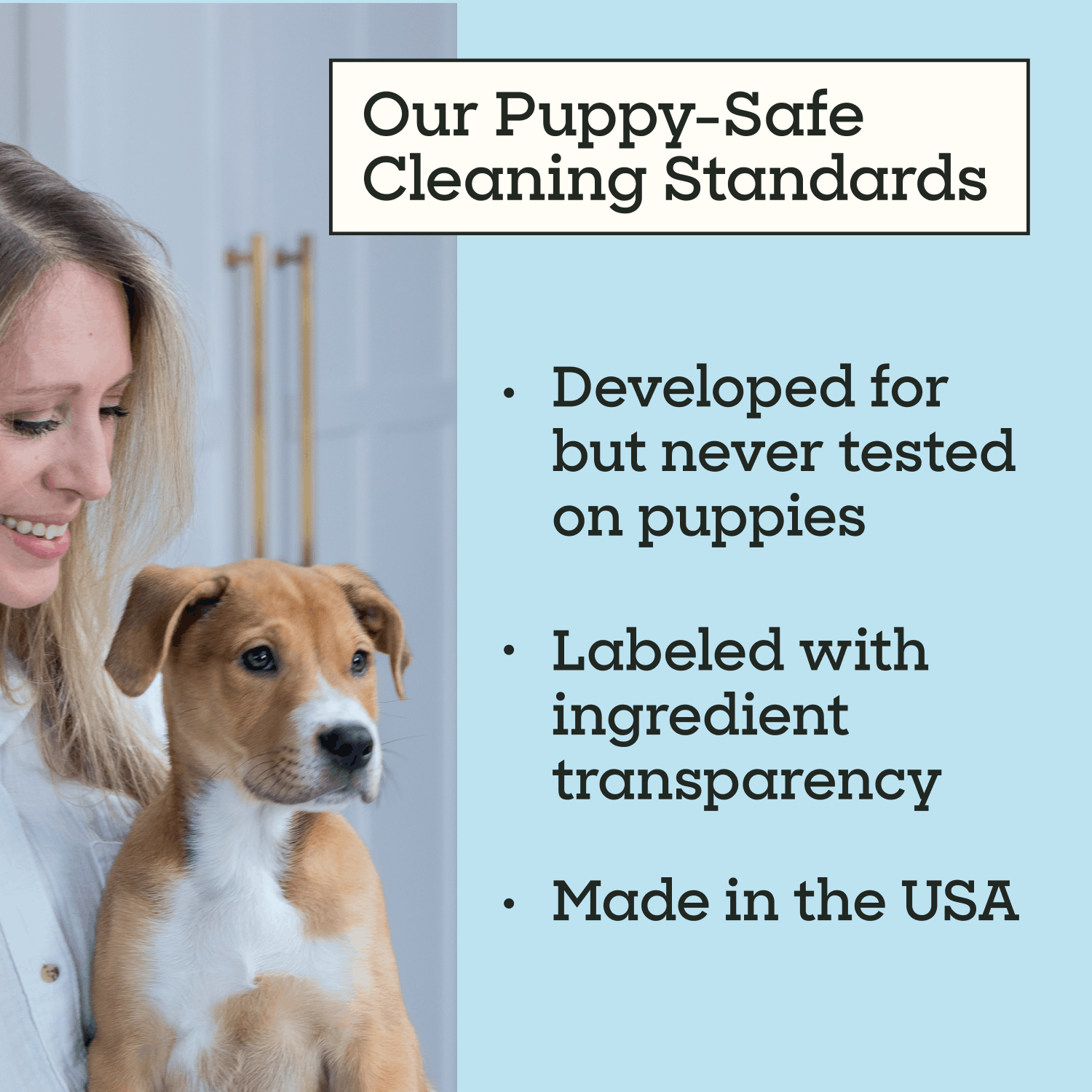 Puppy Home Cleaning Wipes