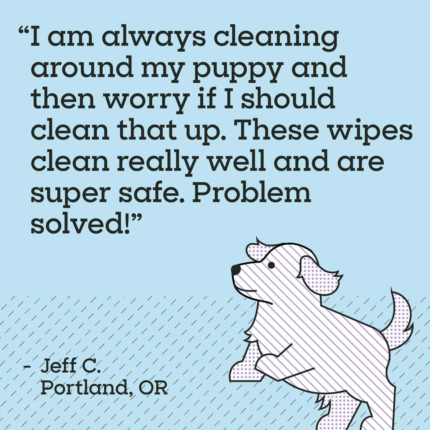 Puppy Home Cleaning Wipes