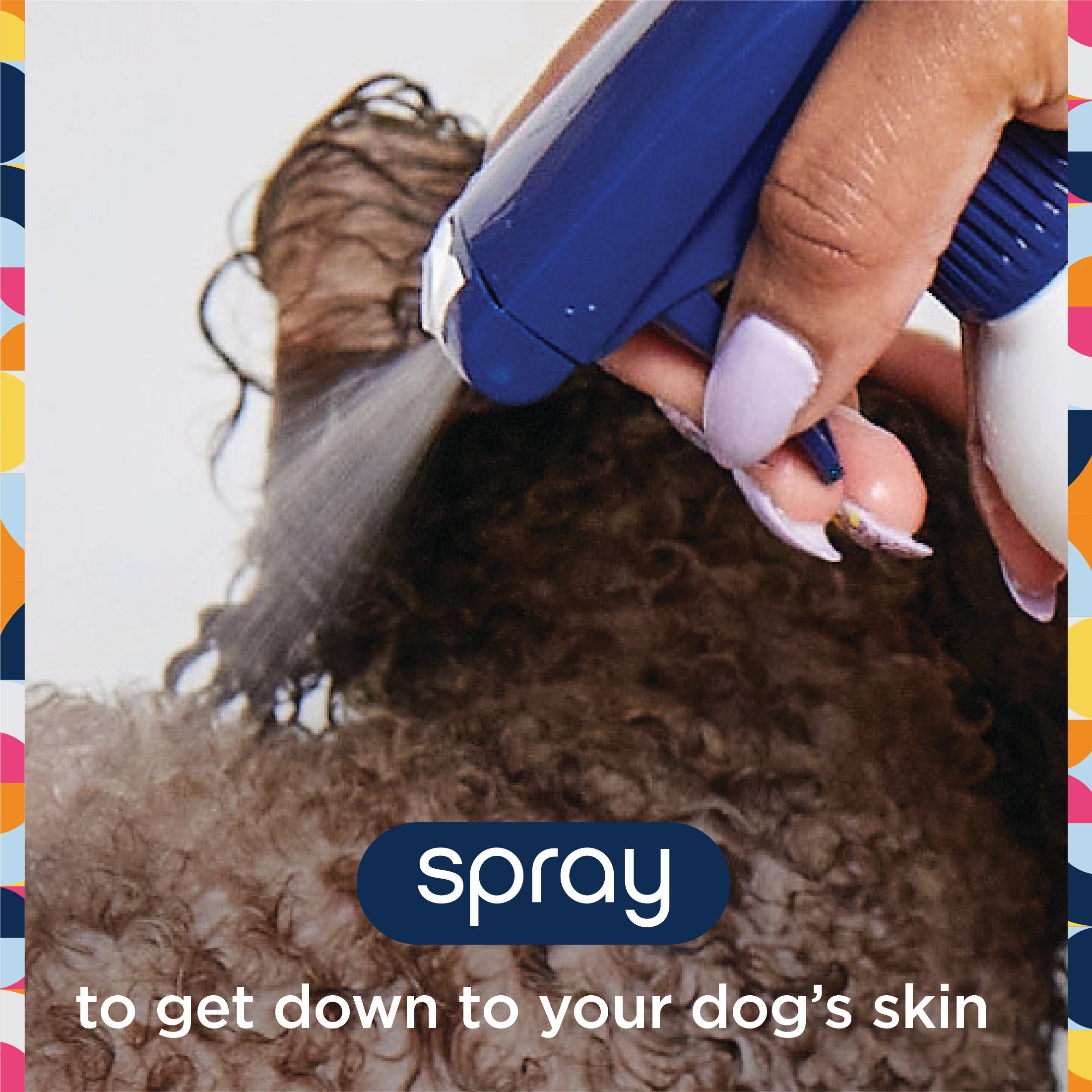 Champú y acondicionador para perros con spray bidireccional