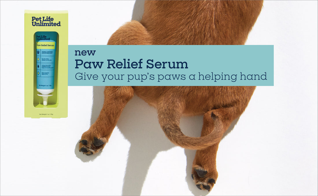 Paw Relief Serum