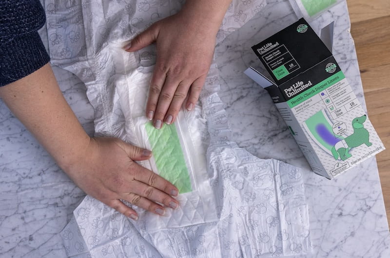 Does Your Dog Have a UTI? Signs, Symptoms & Treatments