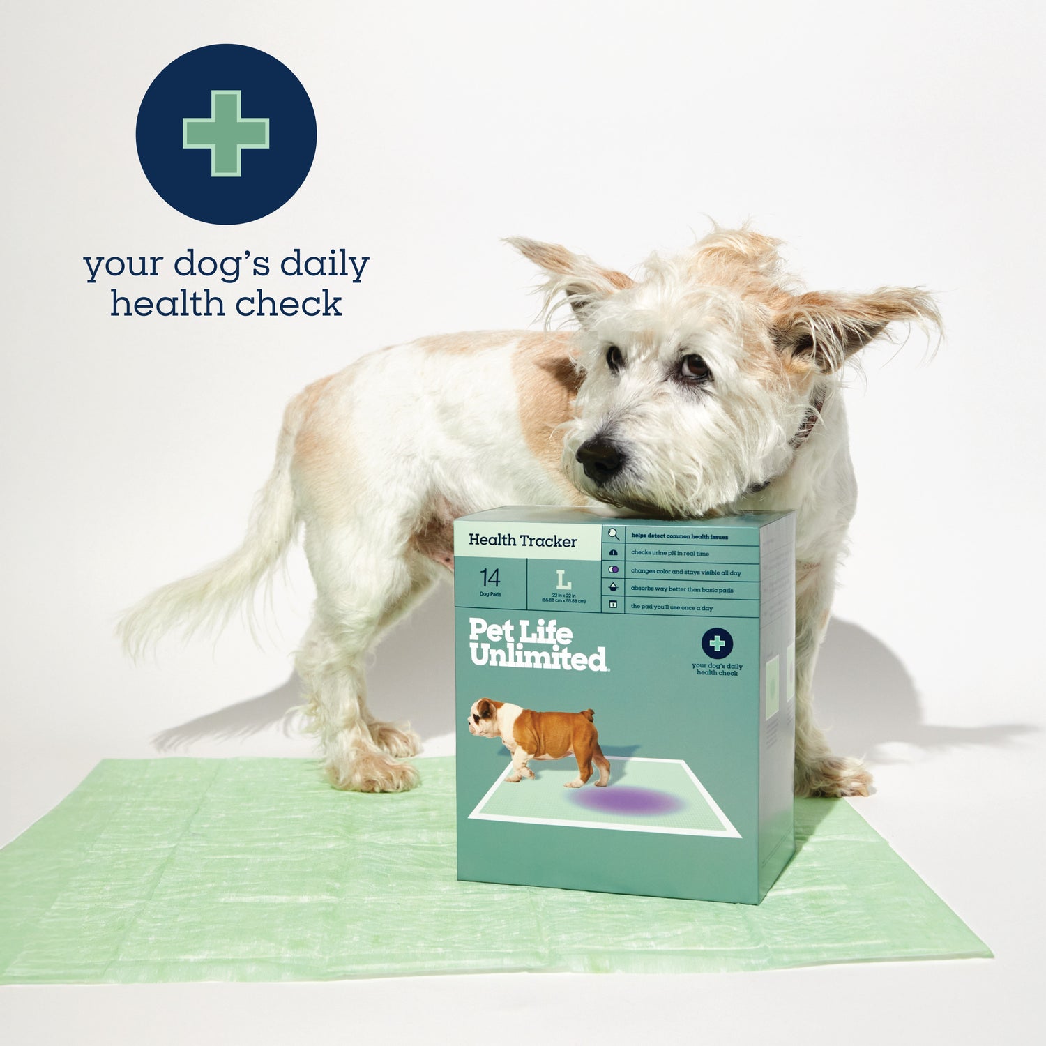 Health Tracker Dog Pads