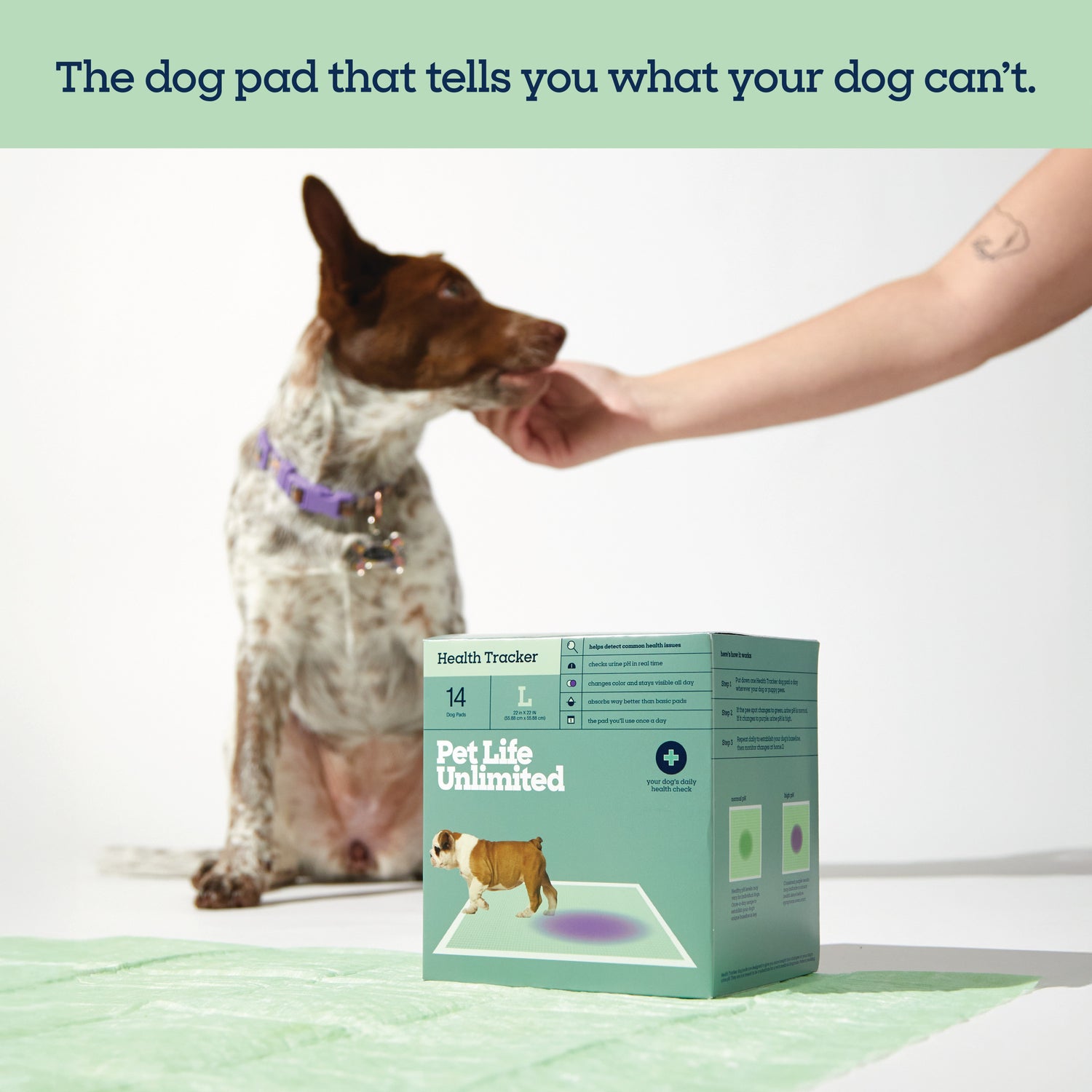 Health Tracker Dog Pads