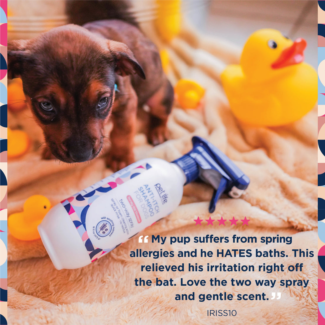 Anti-Itch Spray Shampoo