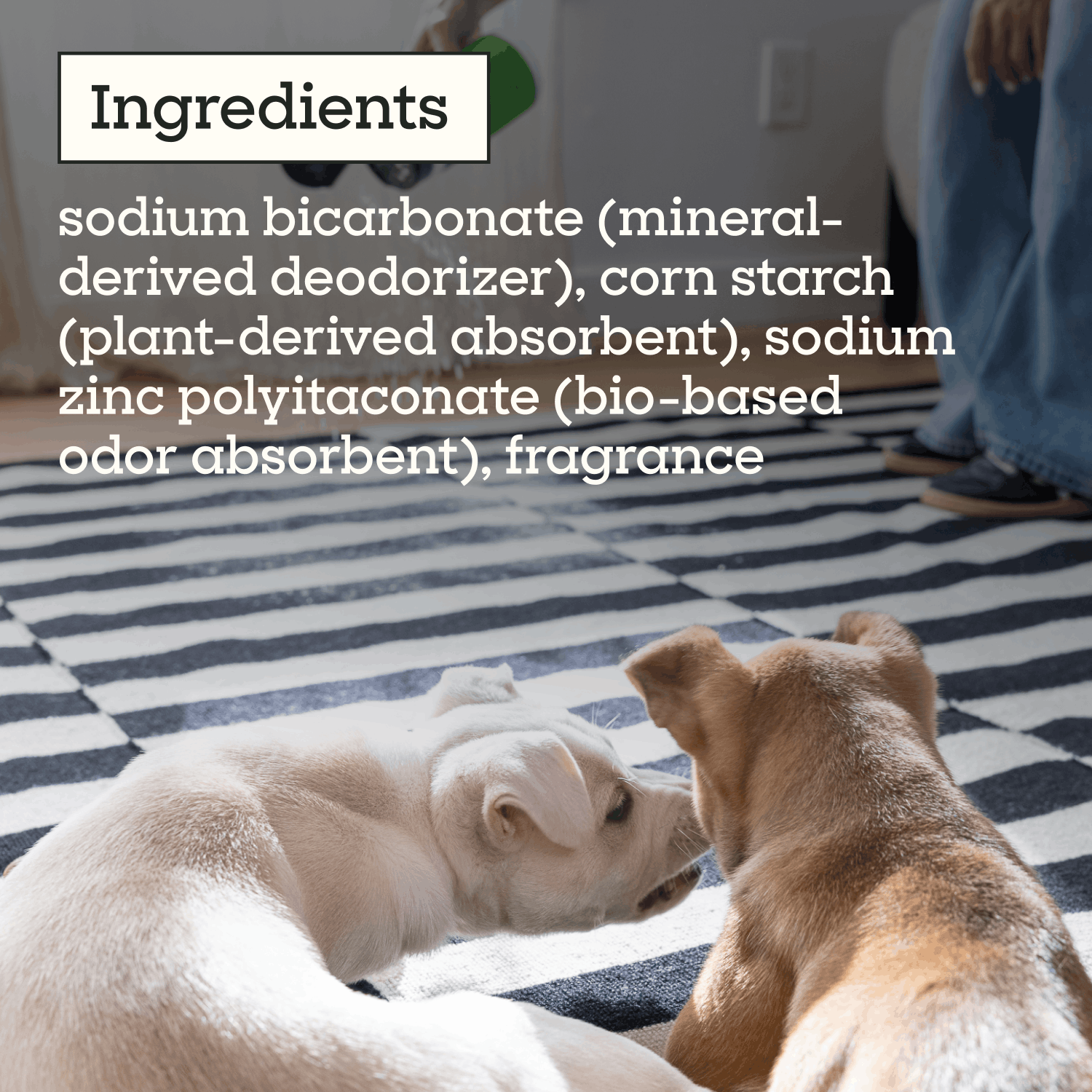 Carpet Refresher, Juniper Leaf