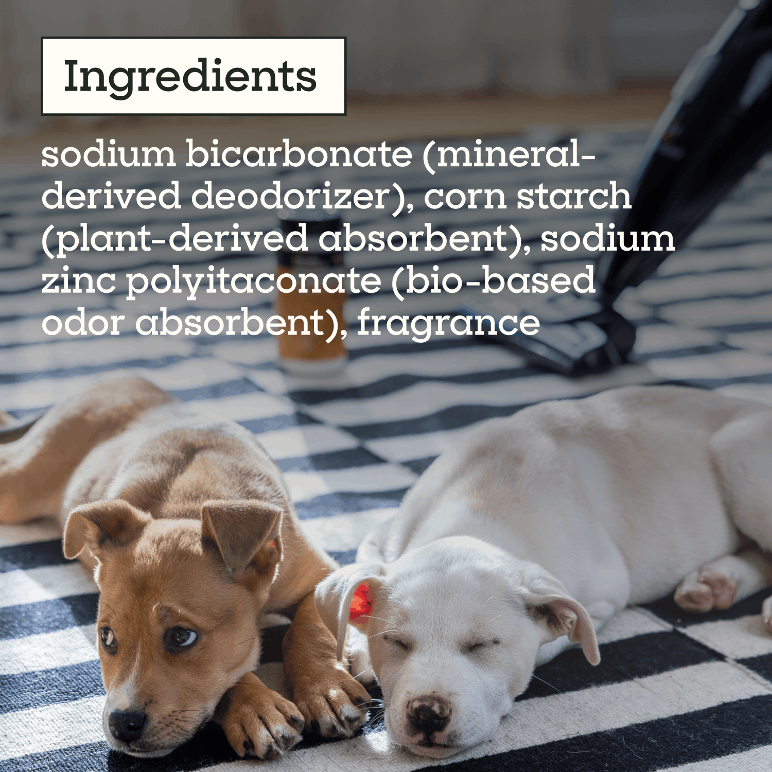 Carpet Refresher, Wild Sage &amp; Neroli