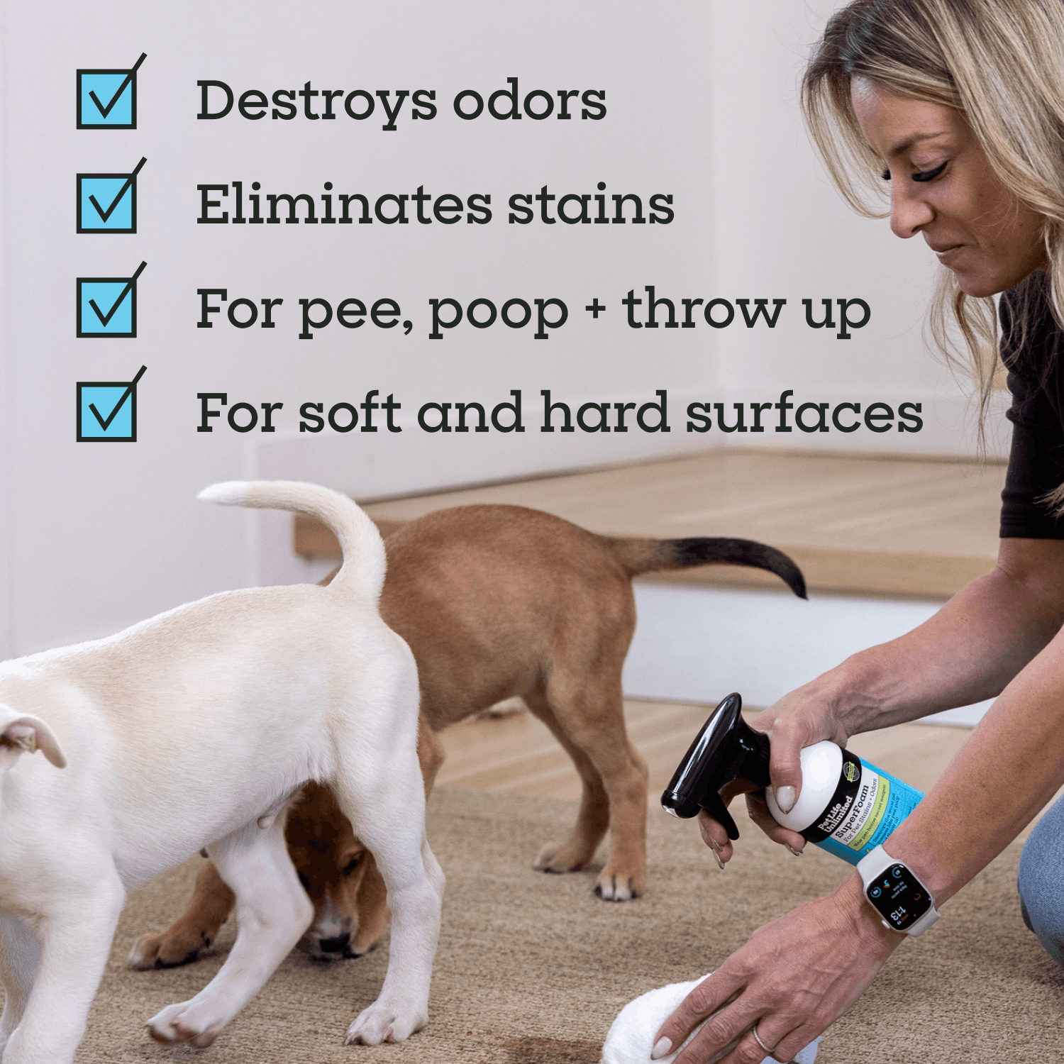 SuperFoam for Pet Stains &amp; Odors