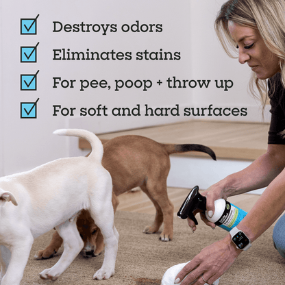 SuperFoam for Pet Stains &amp; Odors