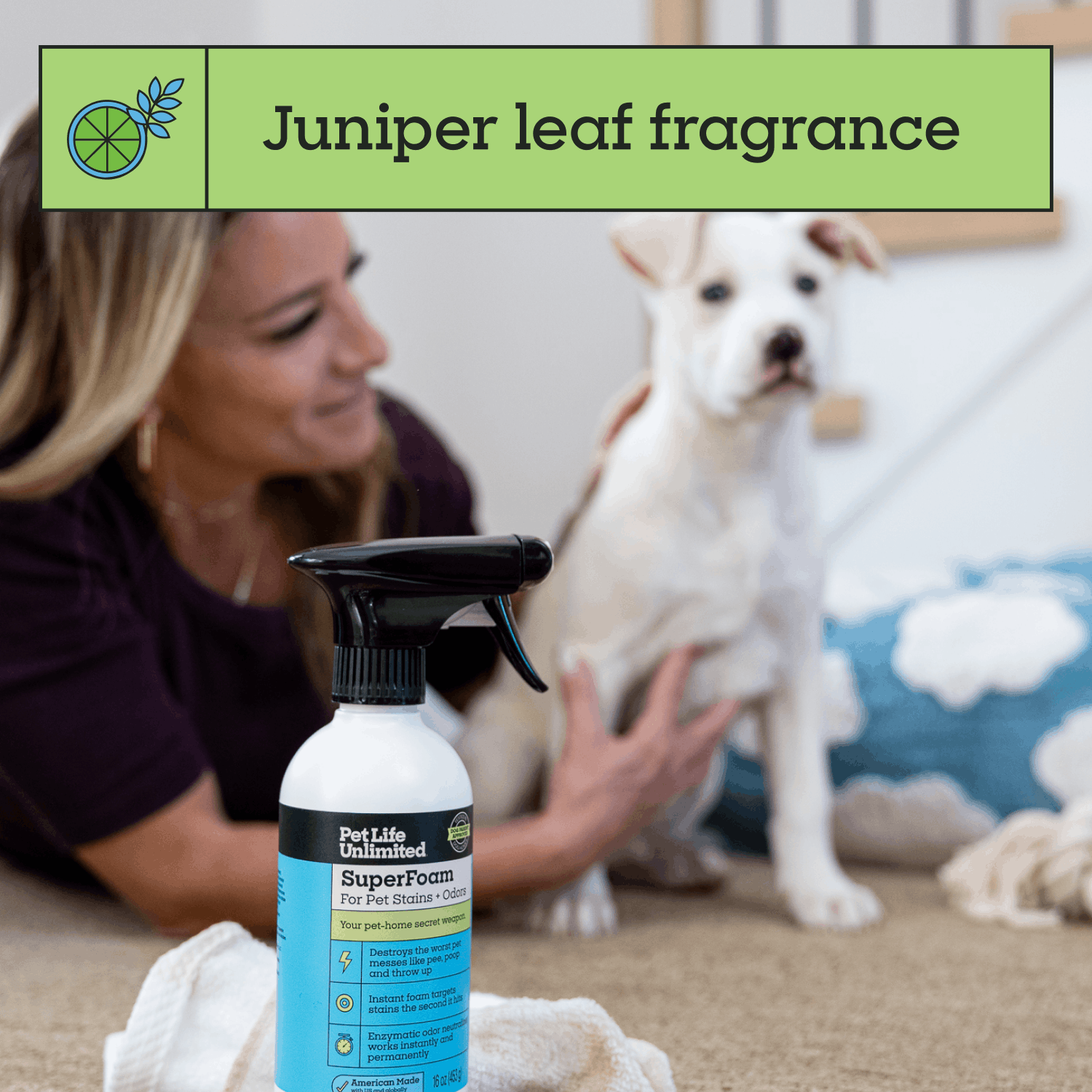 SuperFoam for Pet Stains &amp; Odors