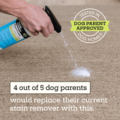 SuperFoam for Pet Stains &amp; Odors