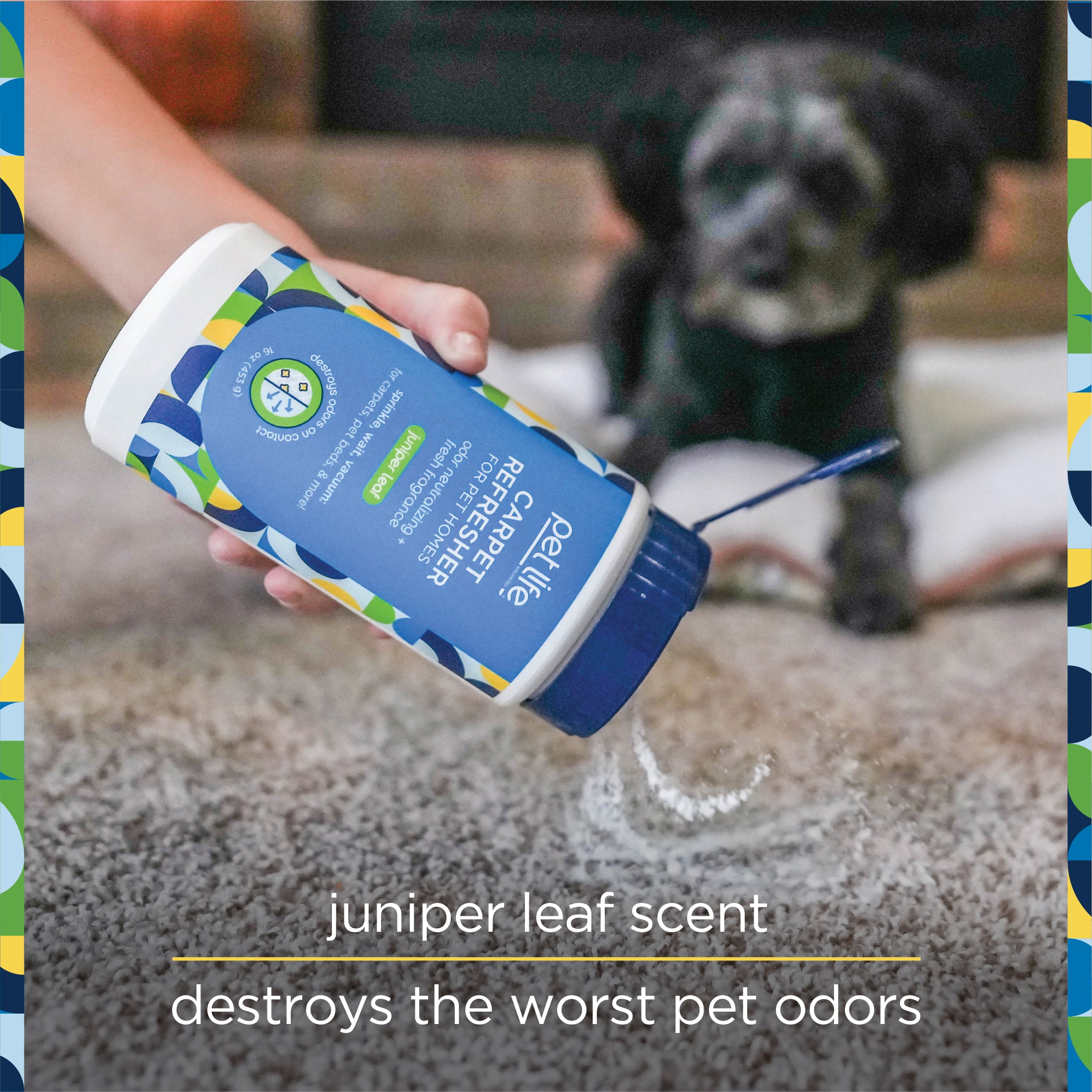 PL360 Pet Odor Neutralizing Carpet Powder Citrus 16 oz