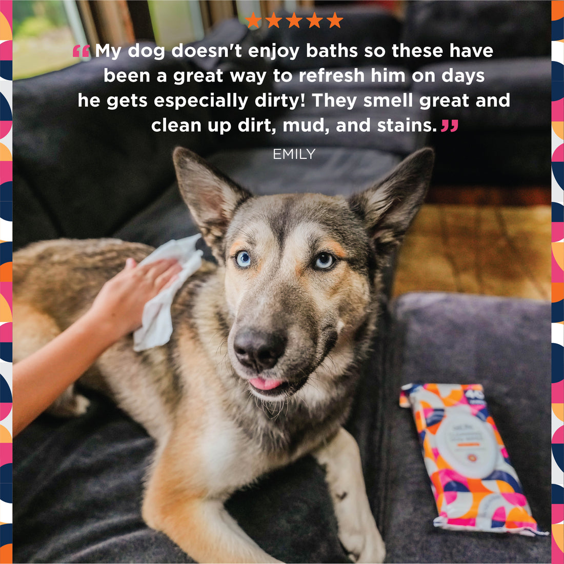 Cleansing Dog Wipes, Bergamot Apple