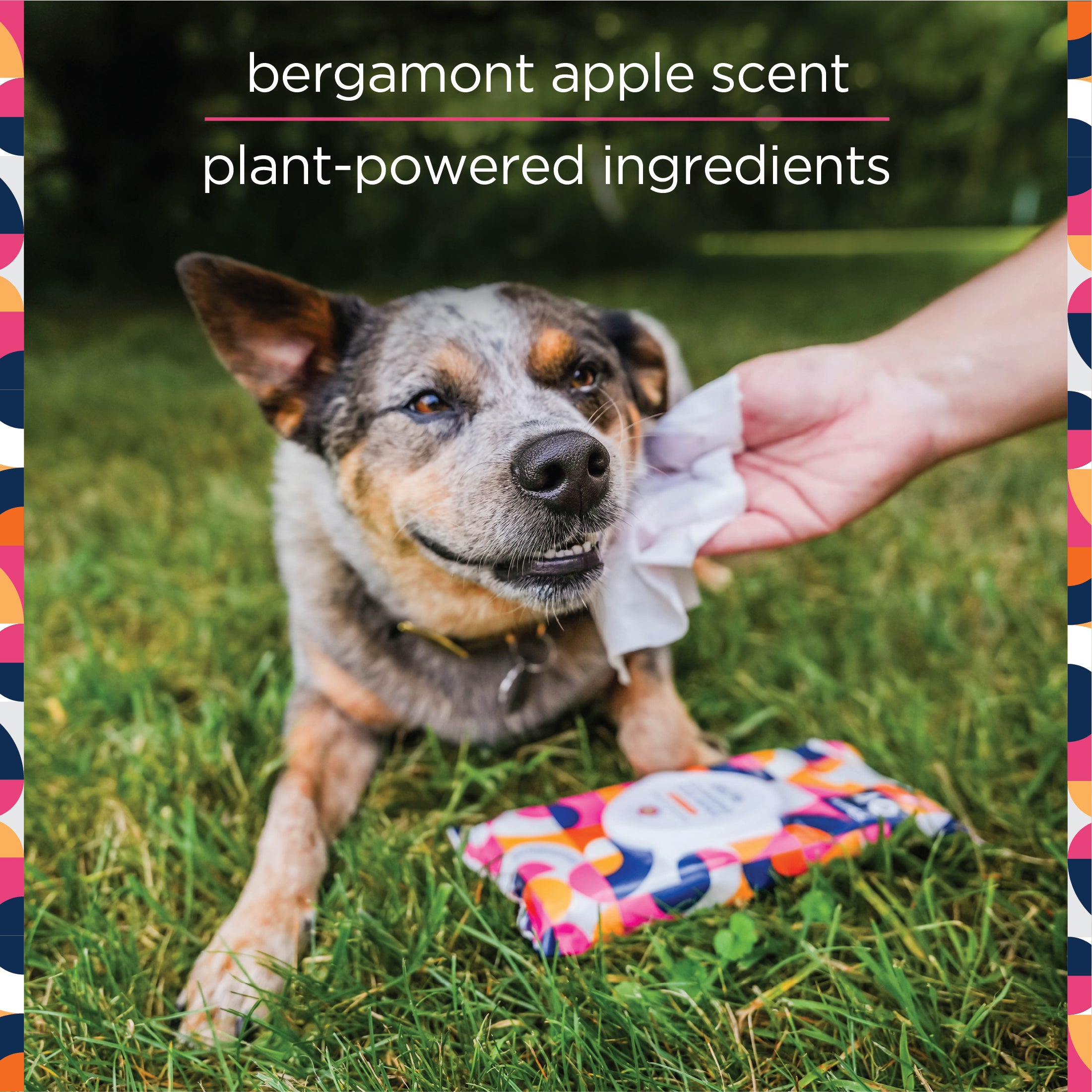 Cleansing Dog Wipes Bergamot Apple Pet Life Unlimited