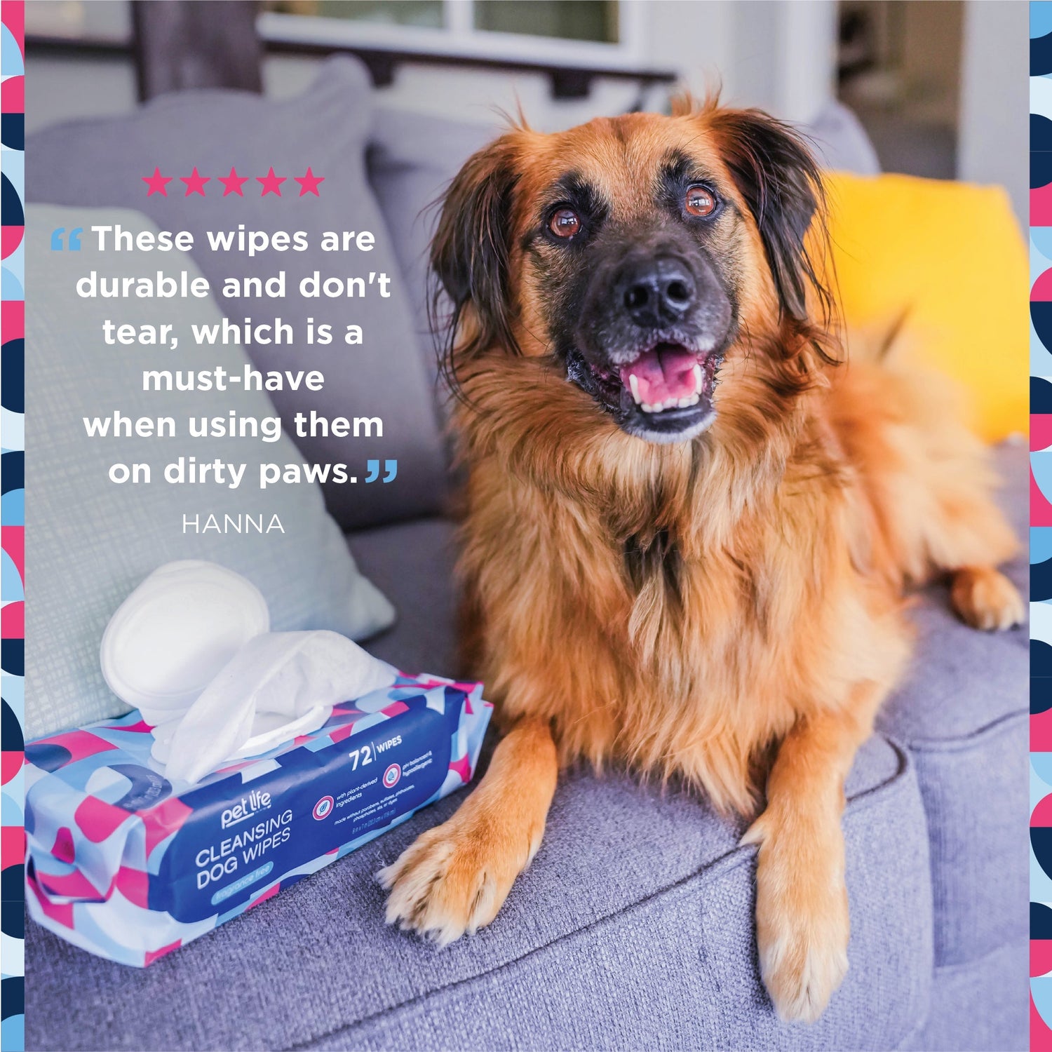 Cleansing Dog Wipes, Fragrance Free - Main Image