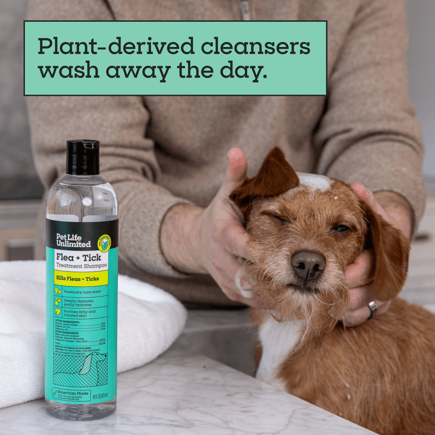 Flea &amp; Tick Treatment Shampoo for Dogs