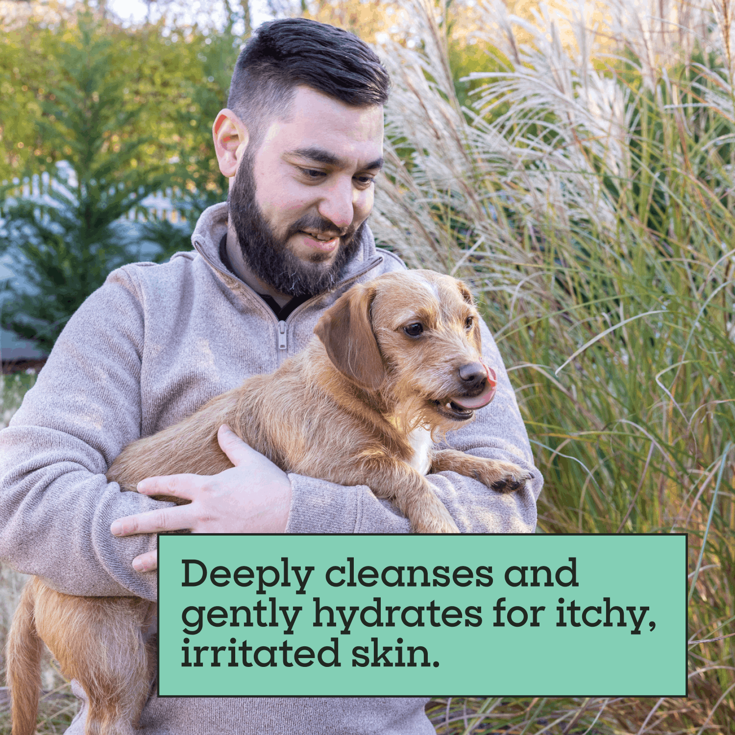 Flea &amp; Tick Treatment Shampoo for Dogs