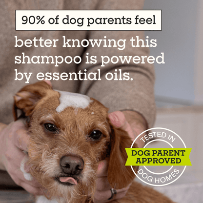 Flea &amp; Tick Treatment Shampoo for Dogs