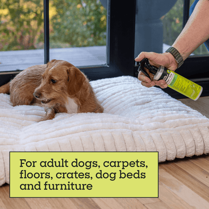 Flea &amp; Tick Dog &amp; Home Spray