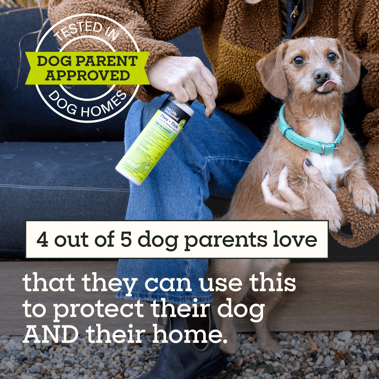 Flea &amp; Tick Dog &amp; Home Spray