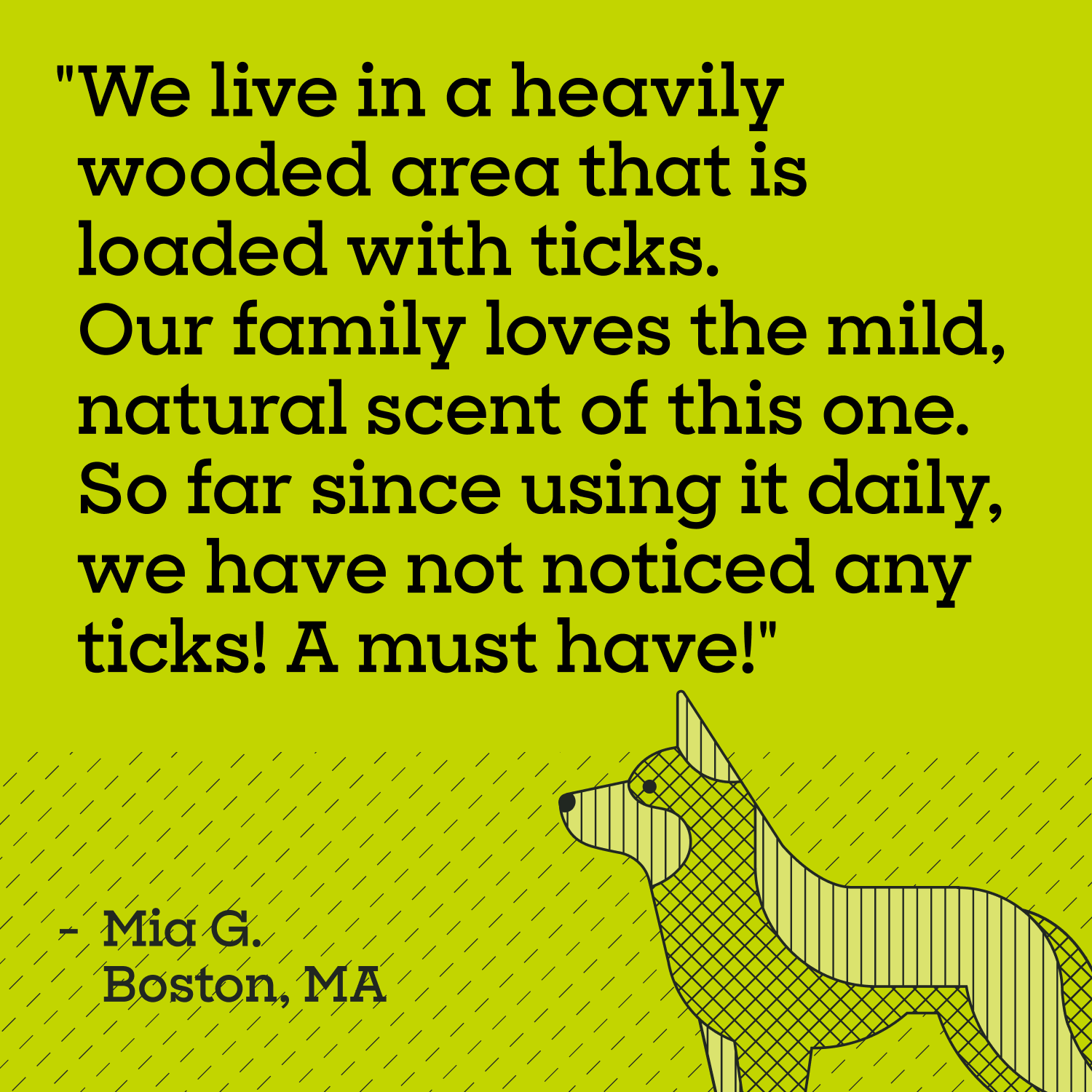 Flea &amp; Tick Dog &amp; Home Spray