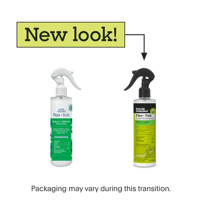 Flea &amp; Tick Dog &amp; Home Spray