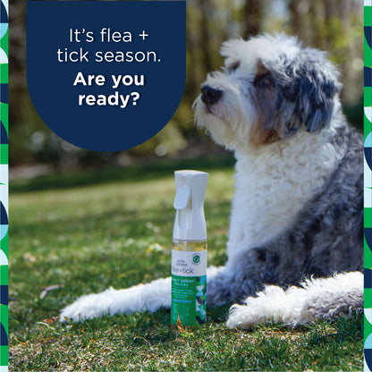 Flea &amp; Tick Daily Spray for Dogs