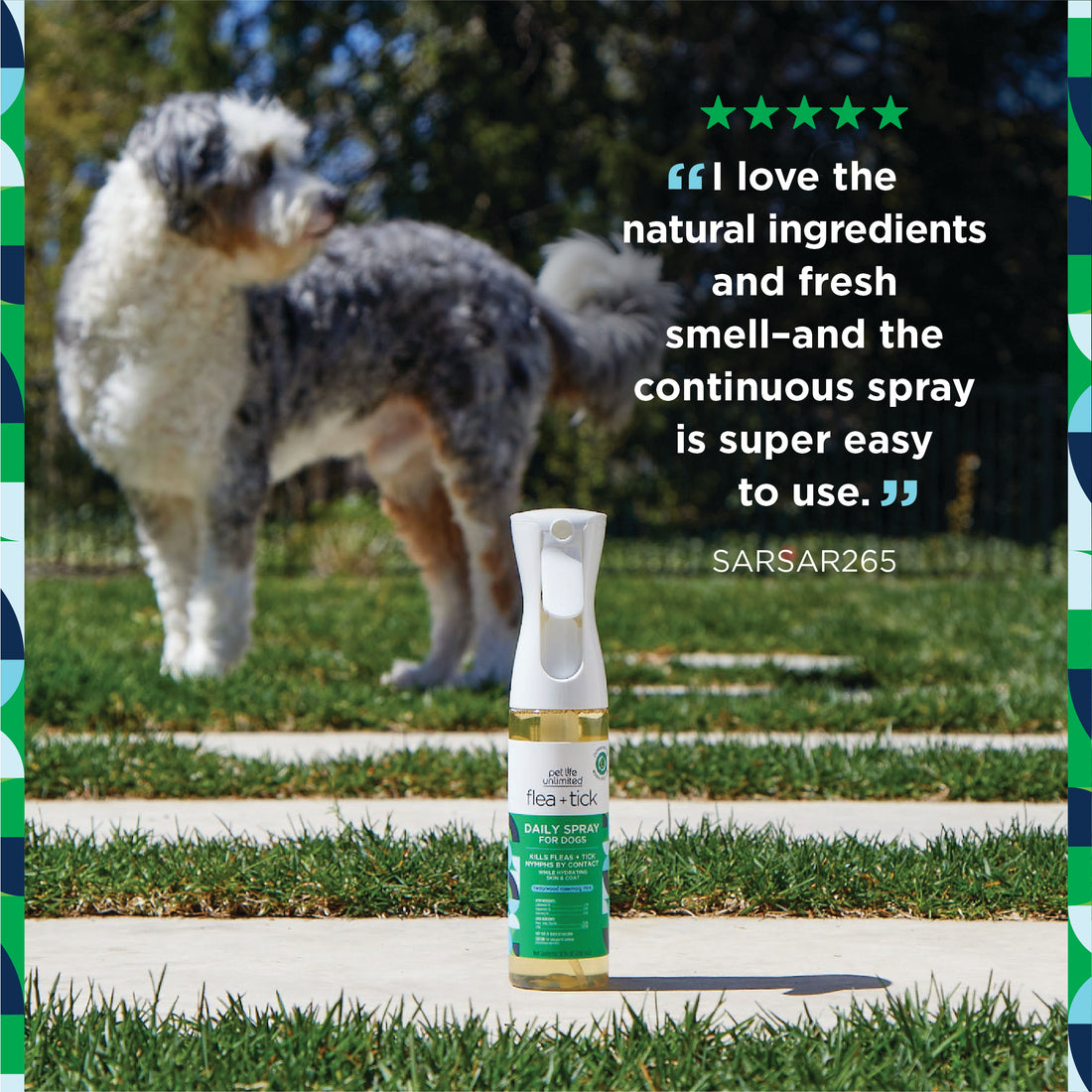 Flea &amp; Tick Daily Spray for Dogs